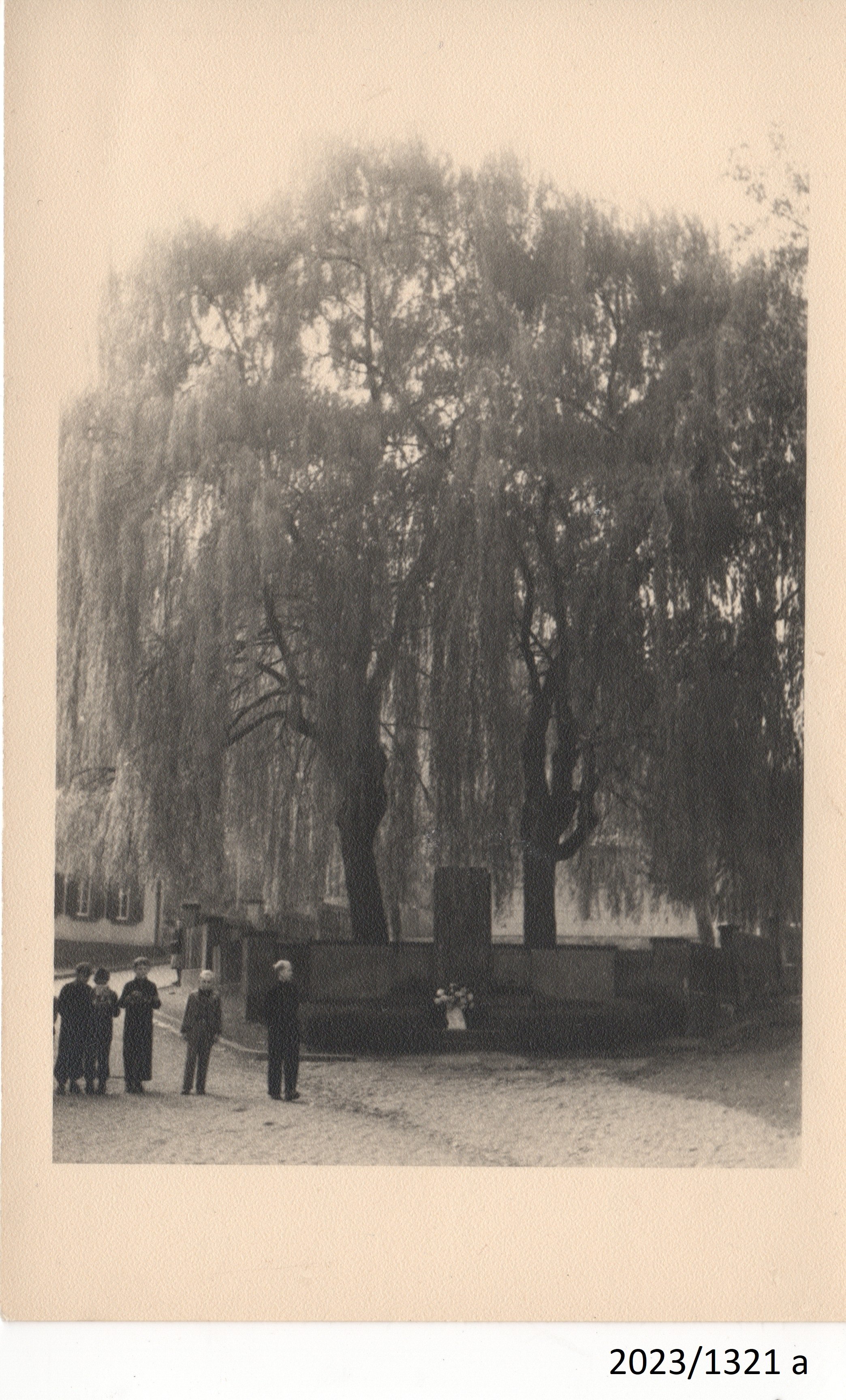Trauerweiden beim Kriegerdenkmal in Grethen, um 1930 (Stadtmuseum Bad Dürkheim im Kulturzentrum Haus Catoir CC BY-NC-SA)