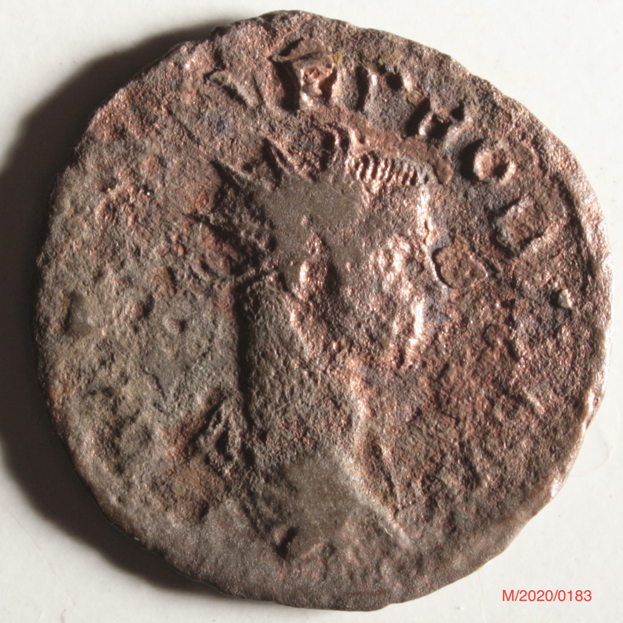 Römische Münze, Nominal Antoninian, Prägeherr Probus, Prägeort Lyon , Original (Museumsgesellschaft Bad Dürkheim e.V. CC BY-NC-SA)
