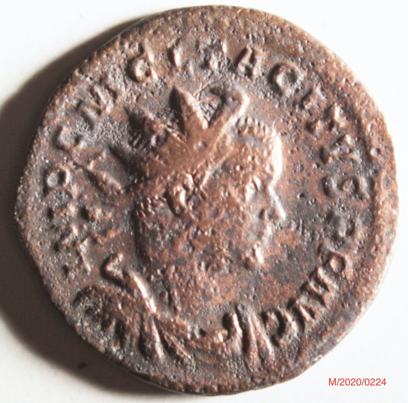 Römische Münze, Nominal Antoninian, Prägeherr Tacitus, Prägeort Gallien , Original (Museumsgesellschaft Bad Dürkheim e.V. CC BY-NC-SA)