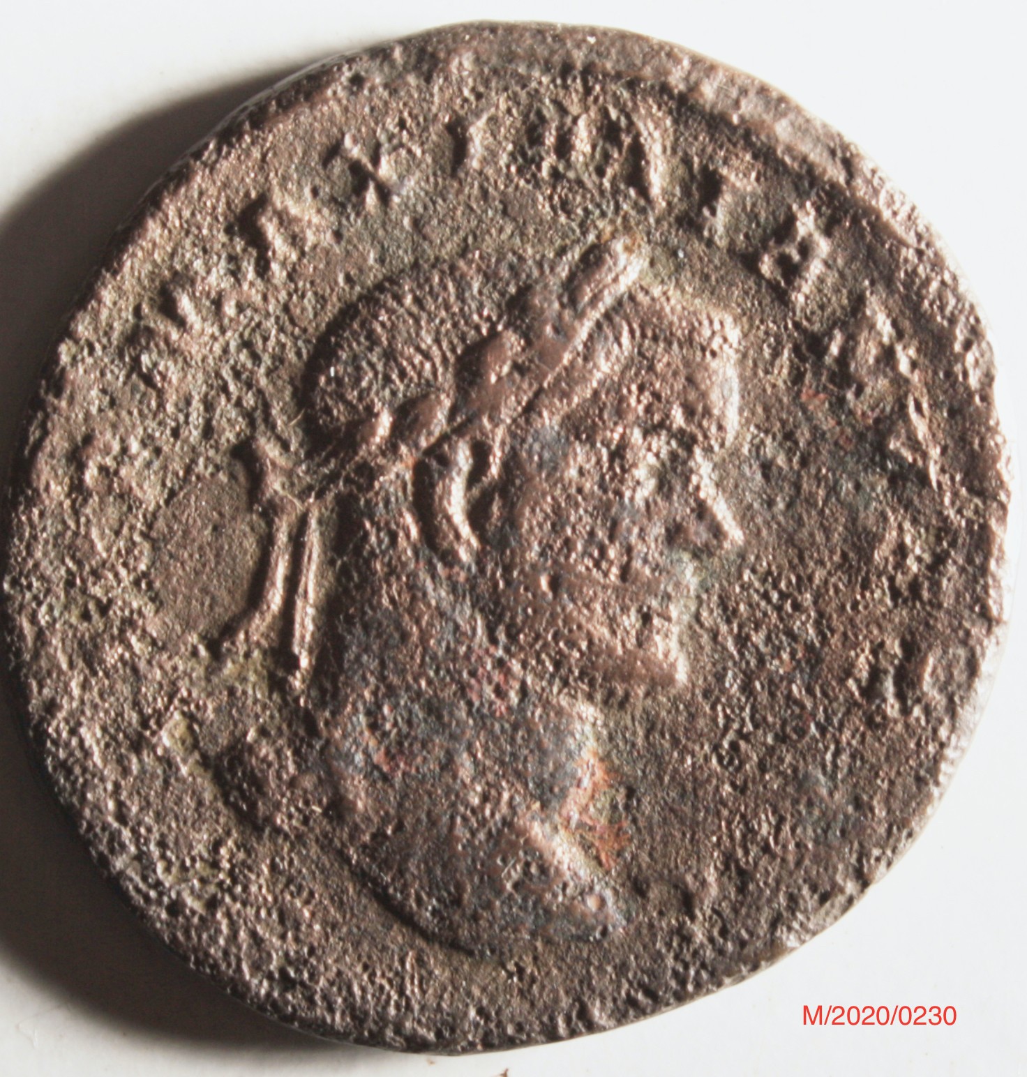 Römische Münze, Nominal Follis, Prägeherr Maximianus Herculius, Prägeort Trier , Original (Museumsgesellschaft Bad Dürkheim e.V. CC BY-NC-SA)