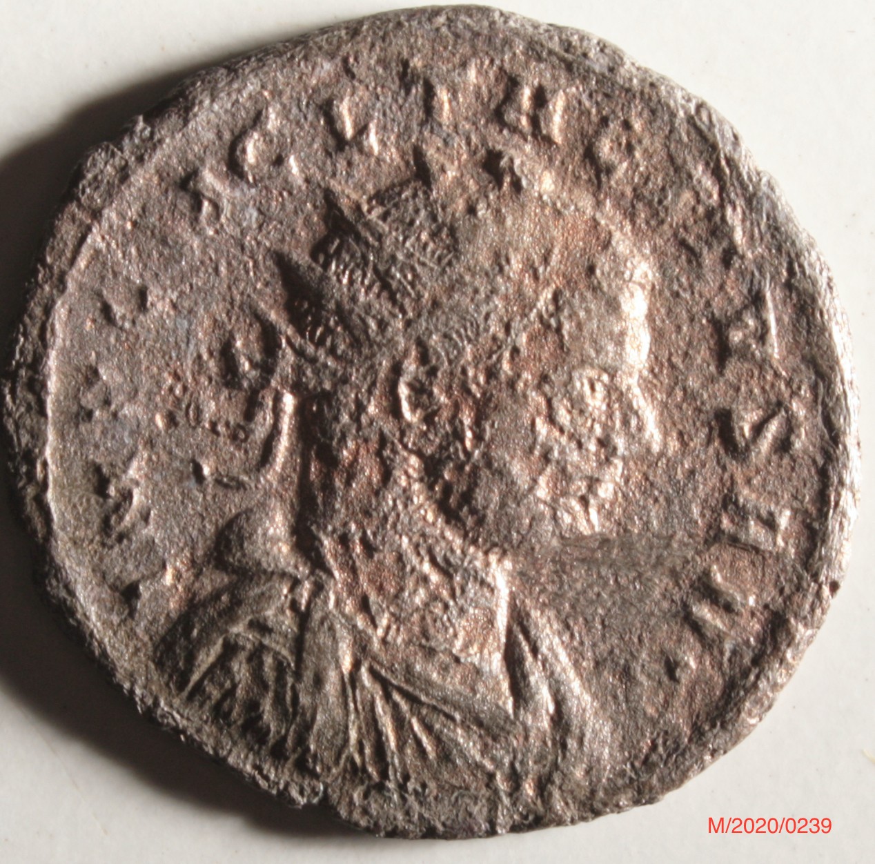 Römische Münze, Nominal Antoninian, Prägeherr Tacitus, Prägeort Tripolis , Original (Museumsgesellschaft Bad Dürkheim e.V. CC BY-NC-SA)
