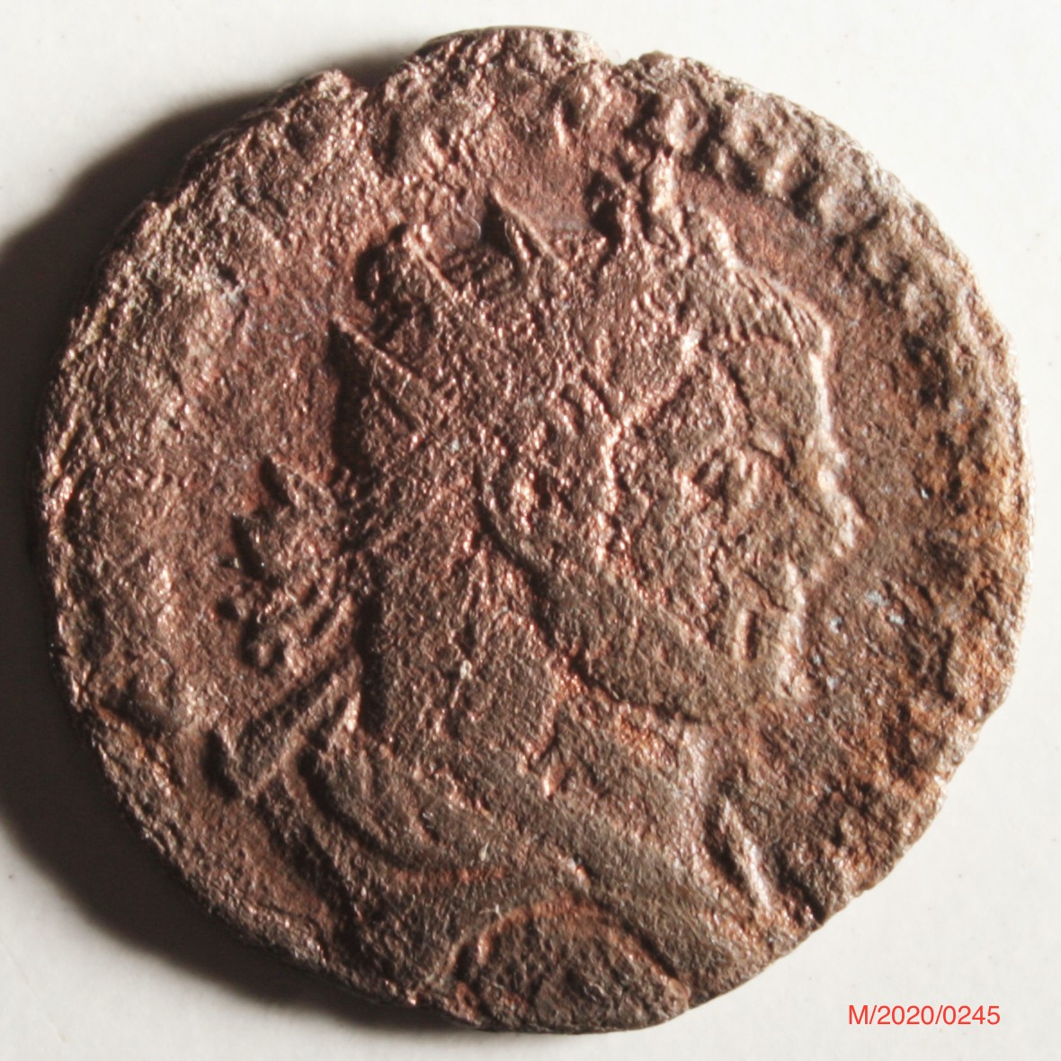 Römische Münze, Nominal Follis, Prägeherr unbekannt, Prägeort Karthago , Original (Museumsgesellschaft Bad Dürkheim e.V. CC BY-NC-SA)