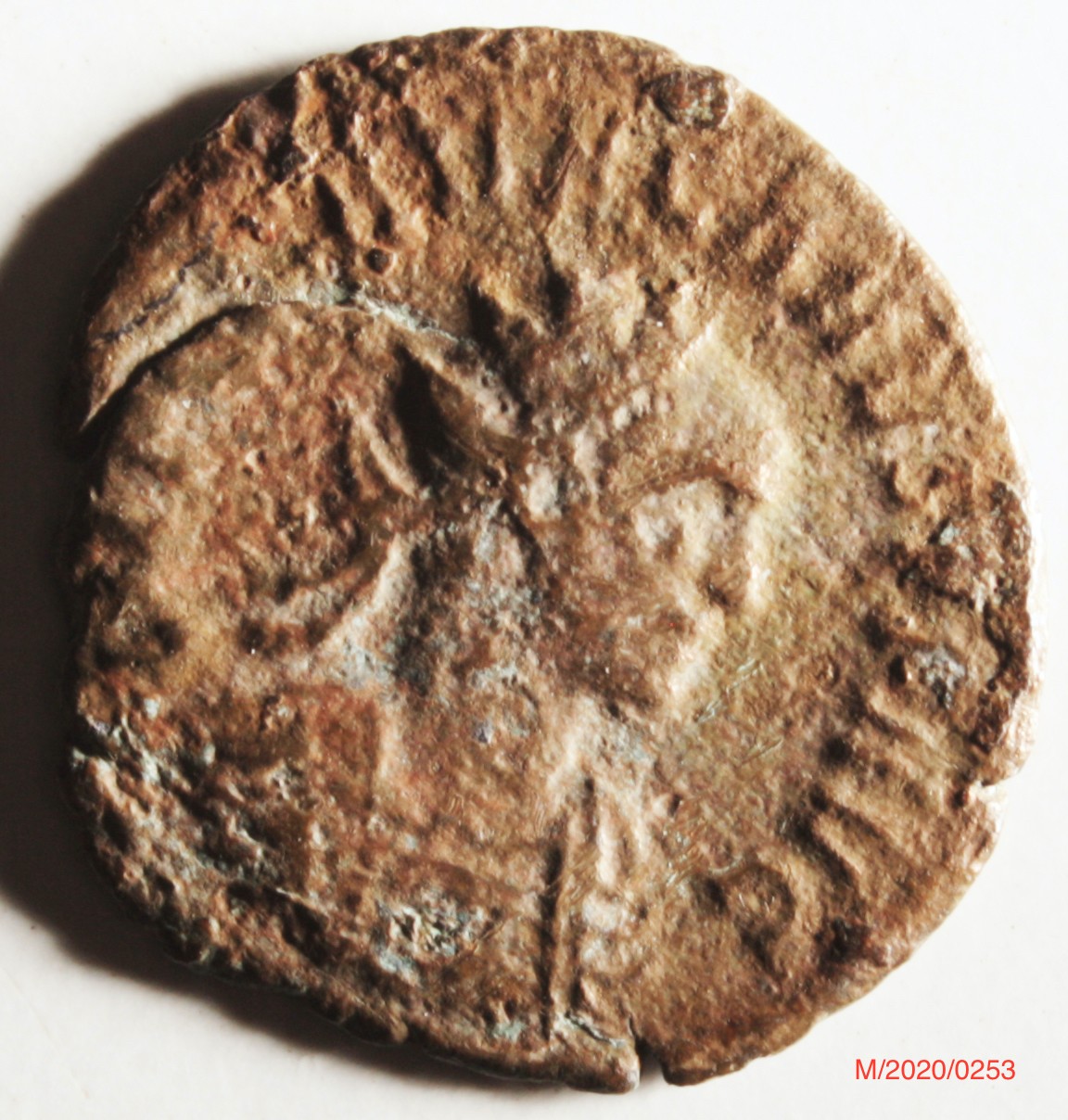 Römische Münze, Nominal Antoninian, Prägeherr Carus, Prägeort Rom , Original (Museumsgesellschaft Bad Dürkheim e.V. CC BY-NC-SA)