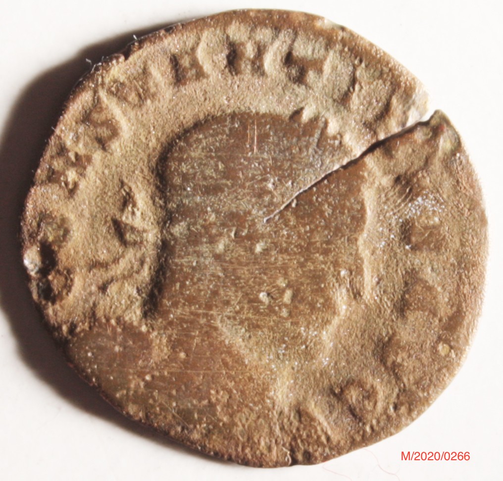 Römische Münze, Nominal Halbfollis, Prägeherr Constantinus I., Prägeort Trier , Original (Museumsgesellschaft Bad Dürkheim e.V. CC BY-NC-SA)