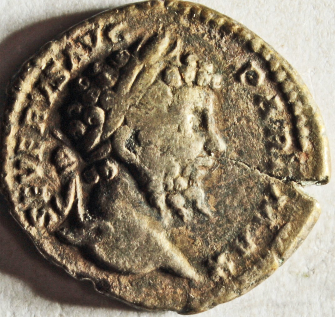 Römische Münze, Nominal Denar, Prägeherr Septimius Severus, Prägeort Rom, Original (Museumsgesellschaft Bad Dürkheim e.V. CC BY-NC-SA)
