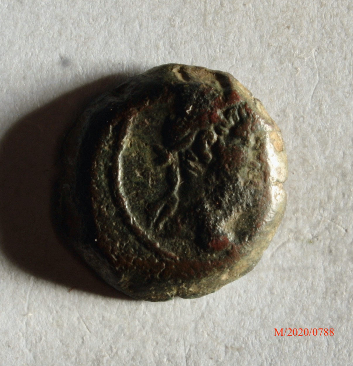 Römische Münze, Nominal Bronzemünze, Prägeherr Traian, Prägeort Alexandria, Original (Museumsgesellschaft Bad Dürkheim e.V. CC BY-NC-SA)