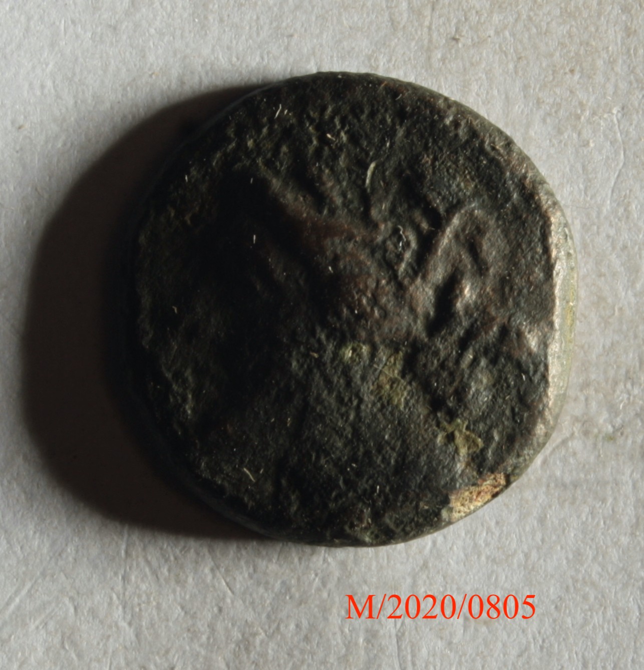 Römische Münze, Nominal Bronzemünze, Prägeherr Hieron II. , Prägeort Syrakus, Original (Museumsgesellschaft Bad Dürkheim e.V. CC BY-NC-SA)
