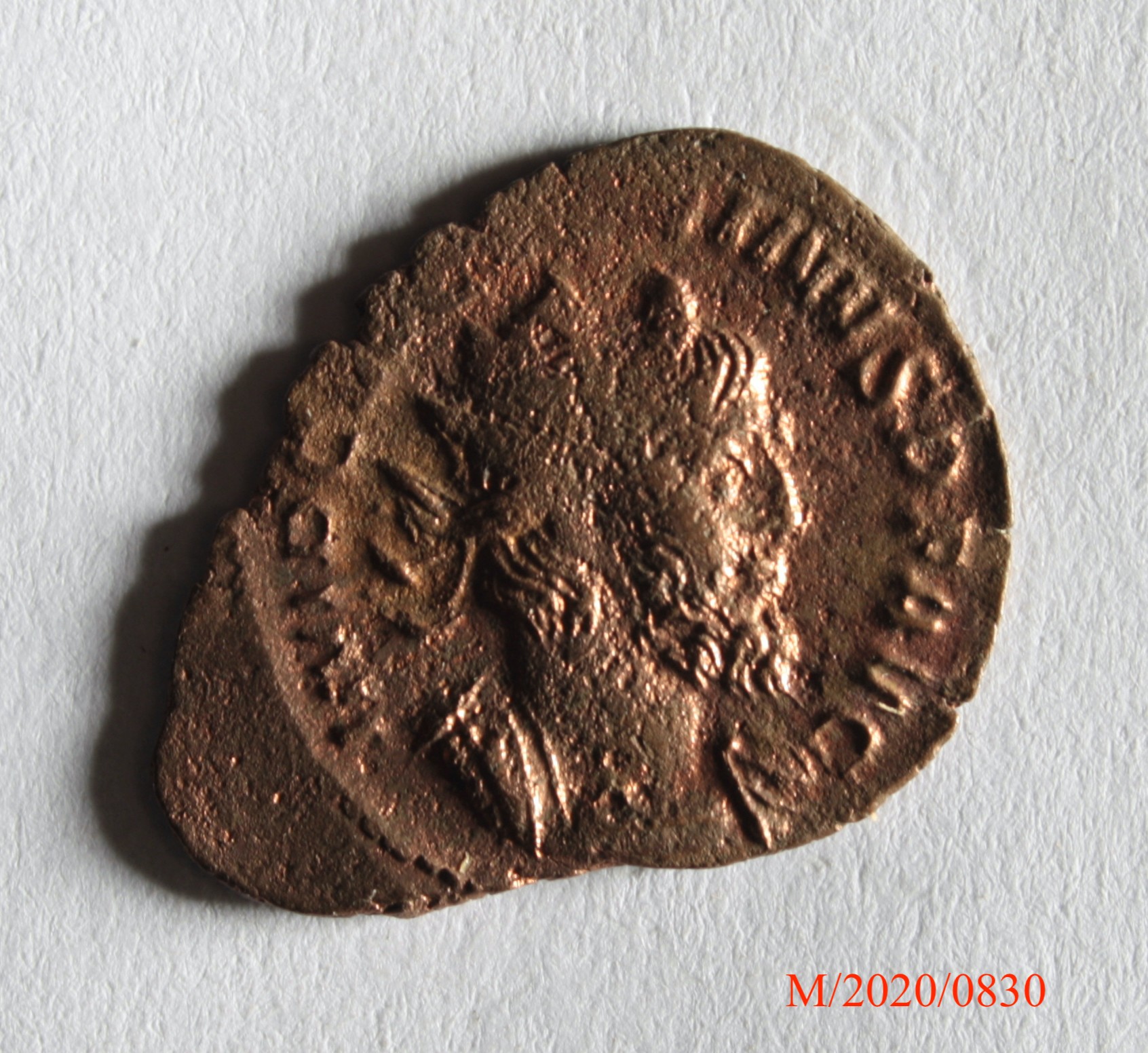 Römische Münze, Nominal Antoninian, Prägeherr Victorinus, Prägeort Trier, Original (Museumsgesellschaft Bad Dürkheim e.V. CC BY-NC-SA)