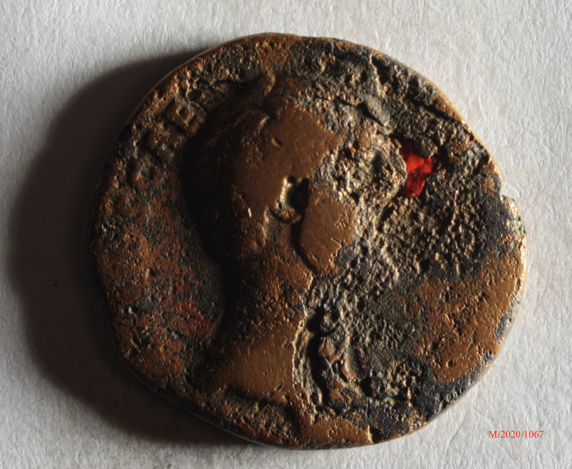 Römische Münze, Nominal As, Prägeherr Hadrian, Prägeort Rom, Original (Museumsgesellschaft Bad Dürkheim e.V. CC BY-NC-SA)