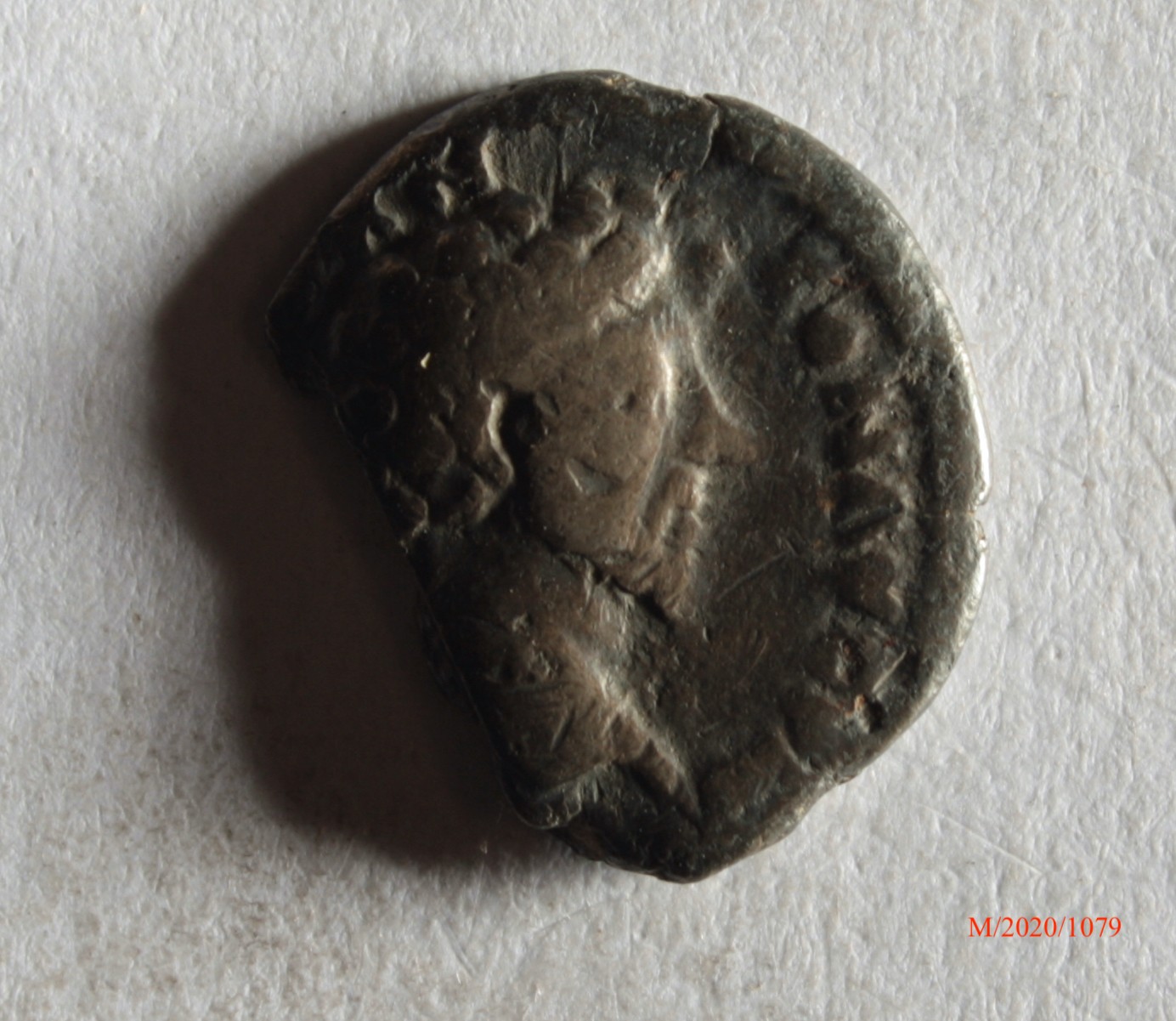 Römische Münze, Nominal Denar, Prägeherr Antoninus Pius, Prägeort Rom, Original (Museumsgesellschaft Bad Dürkheim e.V. CC BY-NC-SA)