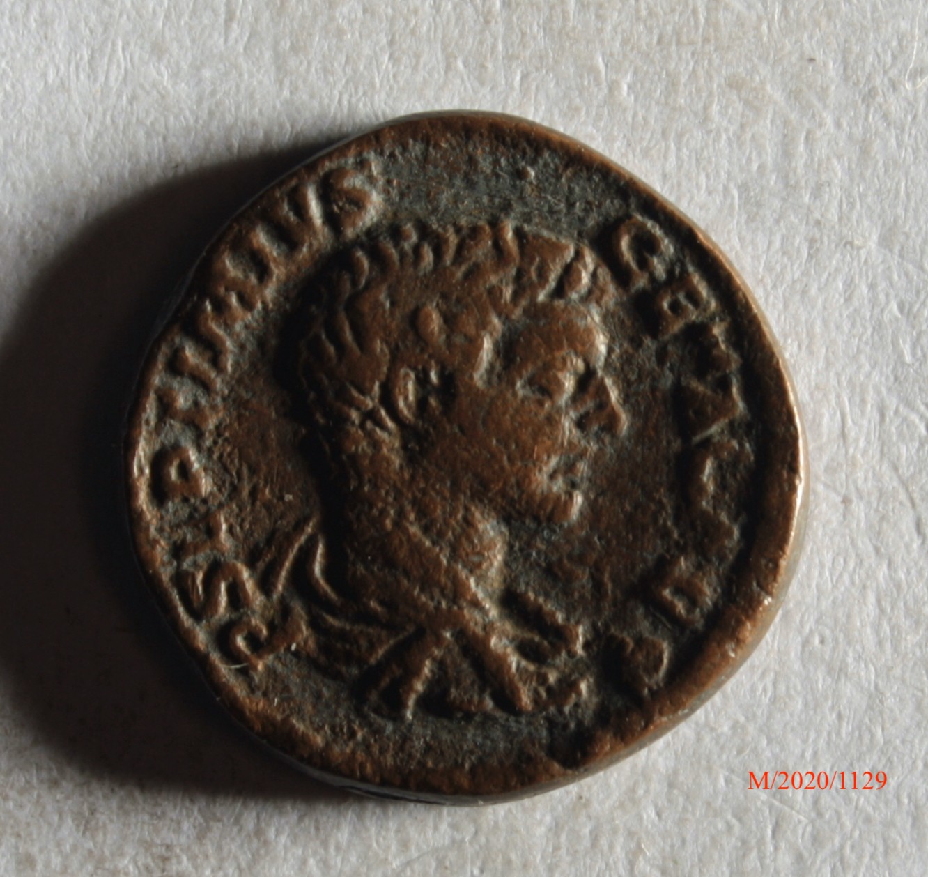 Römische Münze, Nominal Denar, Prägeherr Septimius Severus (f. "Geta"), Prägeort nicht bestimmbar, Fälschung (Museumsgesellschaft Bad Dürkheim e.V. CC BY-NC-SA)