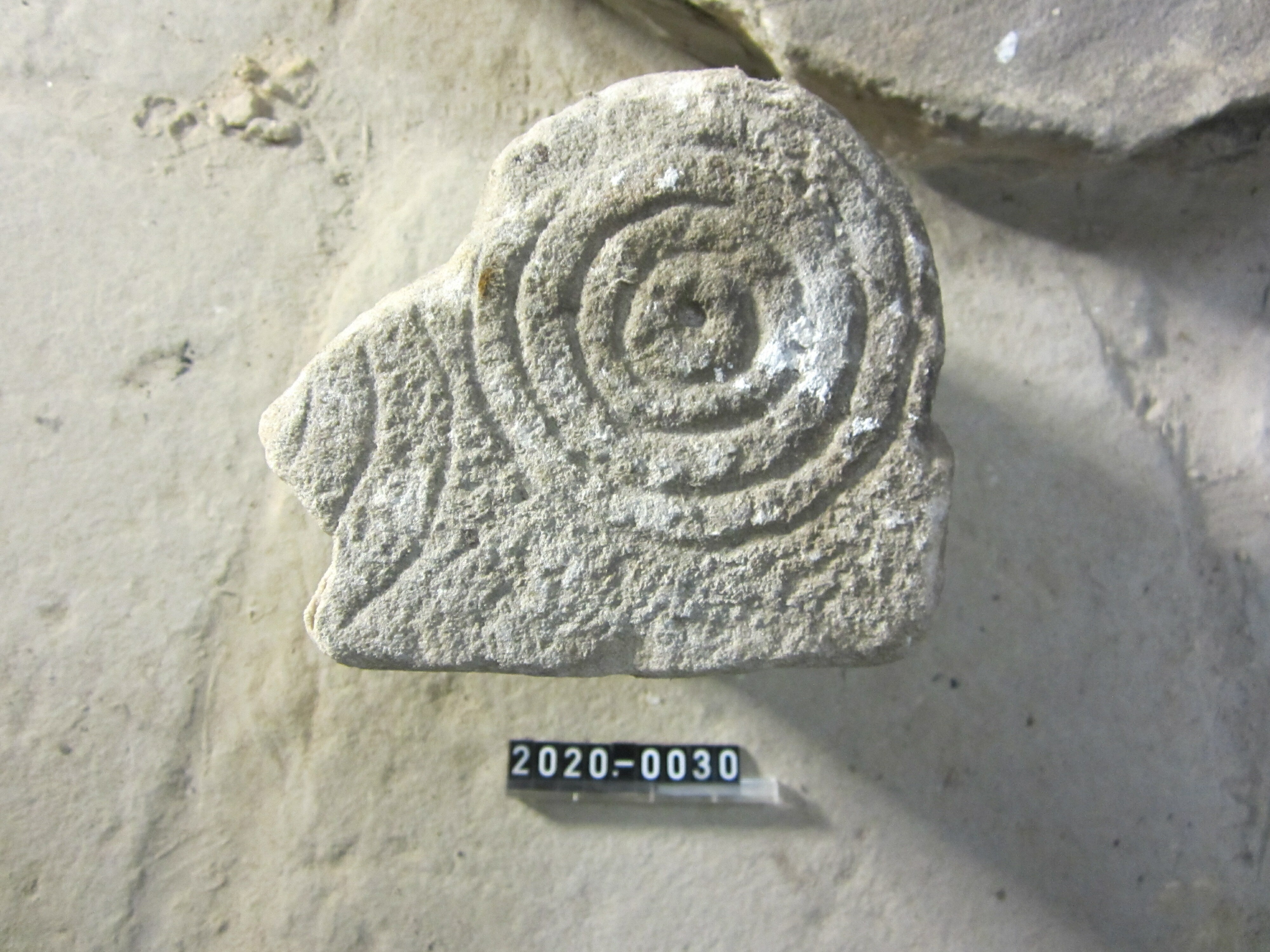 Sandsteinfragment mit kreisförmiger Verzierung (Stadtmuseum Bad Dürkheim CC BY-NC-SA)