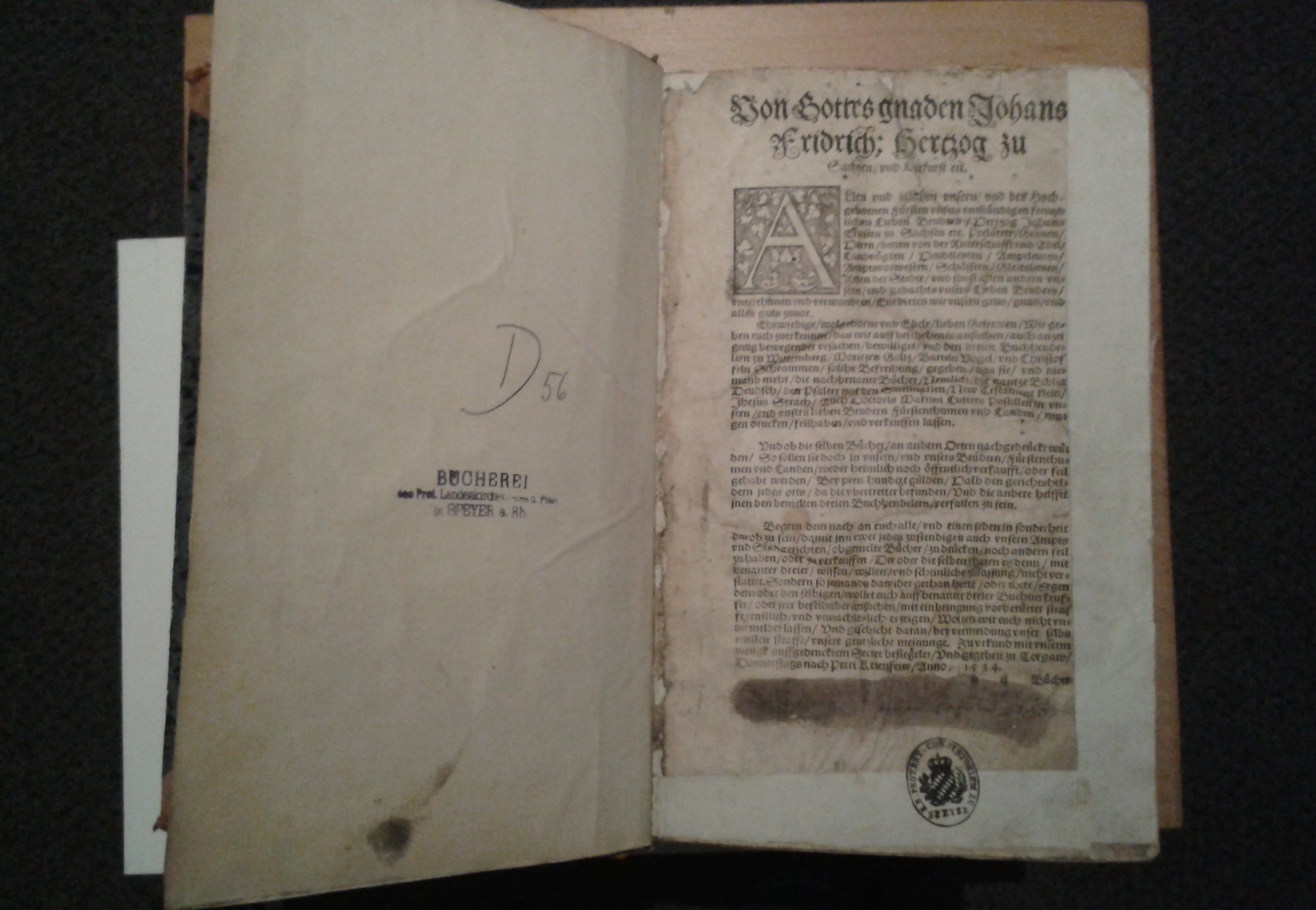 Bibel in der Übersetzung Martin Luthers (Historisches Museum der Pfalz, Speyer CC BY)