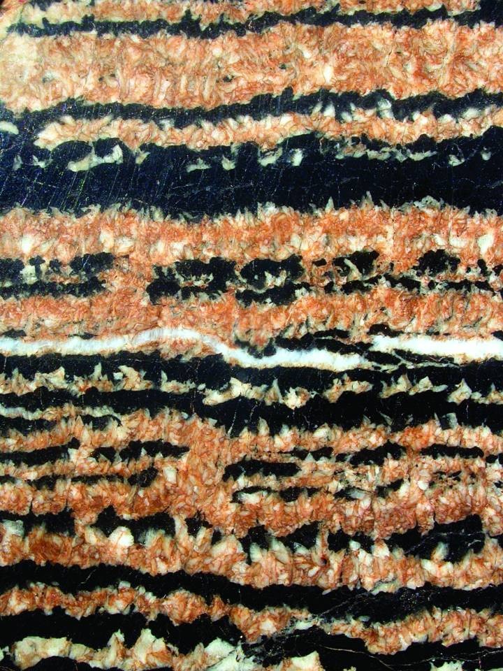 Erzanschliff mit Lagen von Siderit (rötlich-braun) und Zinkblende (dunkel) (Naturhistorisches Museum Mainz / Landessammlung für Naturkunde Rheinland-Pfalz CC BY-NC-SA)