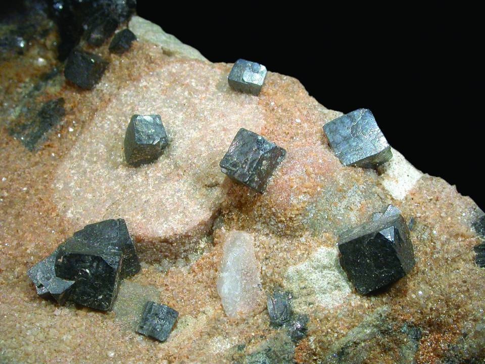 Bleiglanz (würfelige Kristalle, z.T. mit Oktaederflächen) auf einem Konglomerat aus dem Buntsandstein (Naturhistorisches Museum Mainz / Landessammlung für Naturkunde Rheinland-Pfalz CC BY-NC-SA)