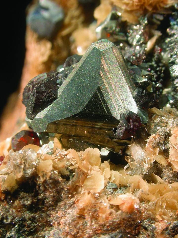 Tetraedrit (Antimonfahlerz) und Zinkblende auf Siderit (Naturhistorisches Museum Mainz / Landessammlung für Naturkunde Rheinland-Pfalz CC BY-NC-SA)