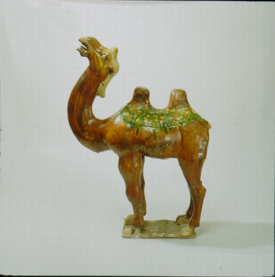 Baktrisches Kamel (Museum Pfalzgalerie Kaiserslautern CC BY-NC-SA)