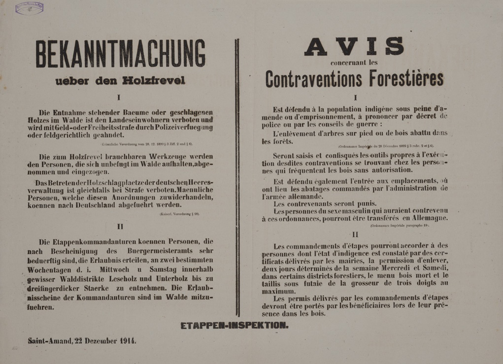 Zweisprachig verfasster Wandanschlag: Holzfrevel (Historisches Museum der Pfalz, Speyer CC BY)