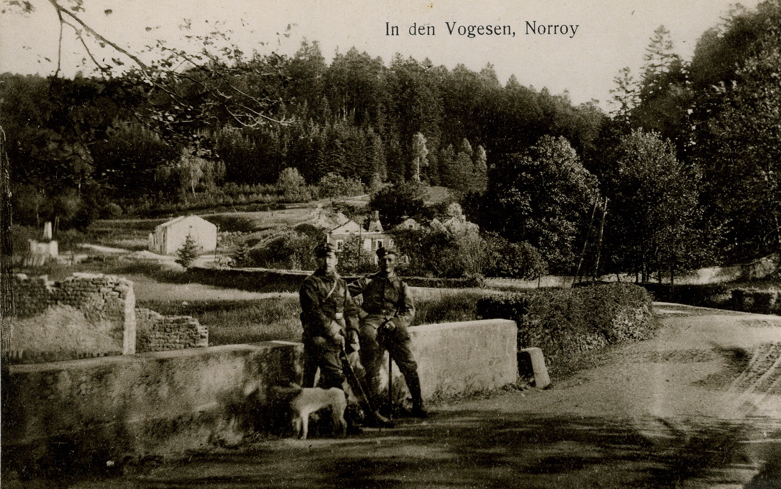 Fotopostkarte "In den Vogesen" (Historisches Museum der Pfalz, Speyer CC BY)