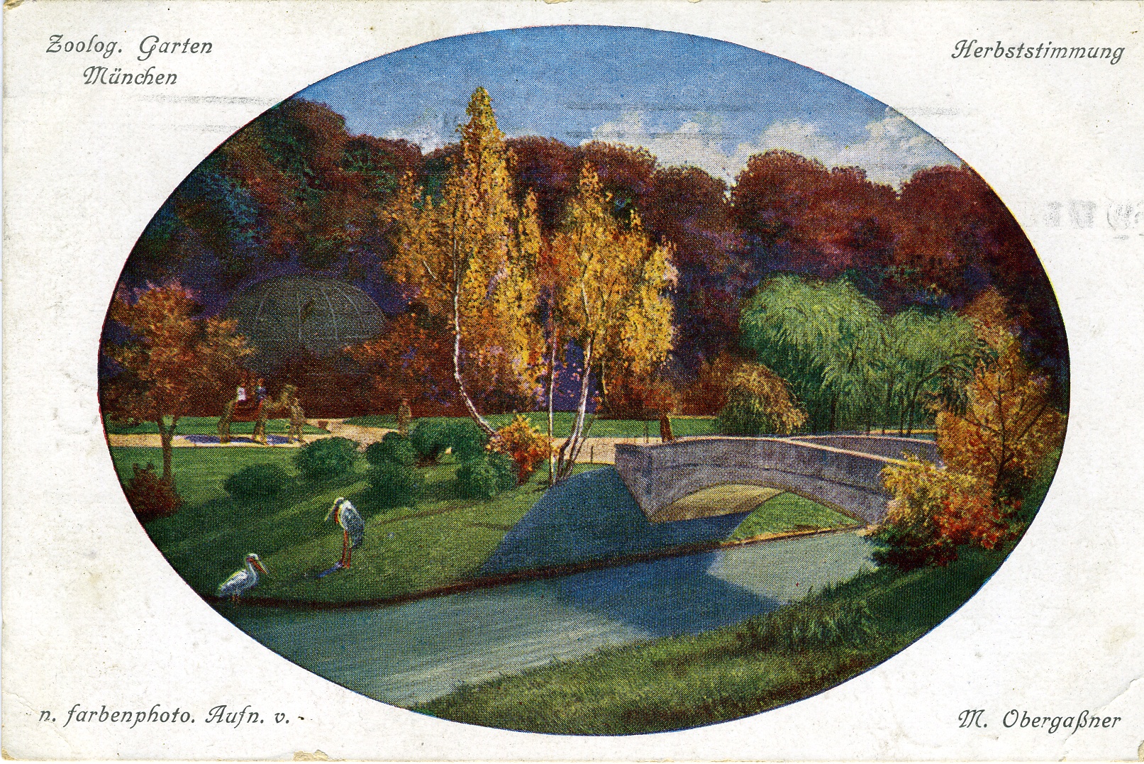 Postkarte "München, Zoologischer Garten" (Historisches Museum der Pfalz, Speyer CC BY)