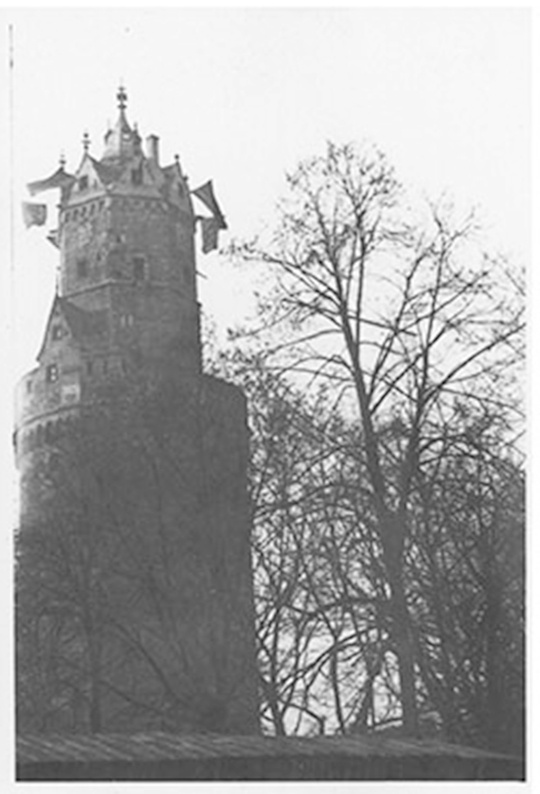 Fotografie des Runden Turms mit Beflaggung (Stadtmuseum Andernach CC BY-NC-SA)