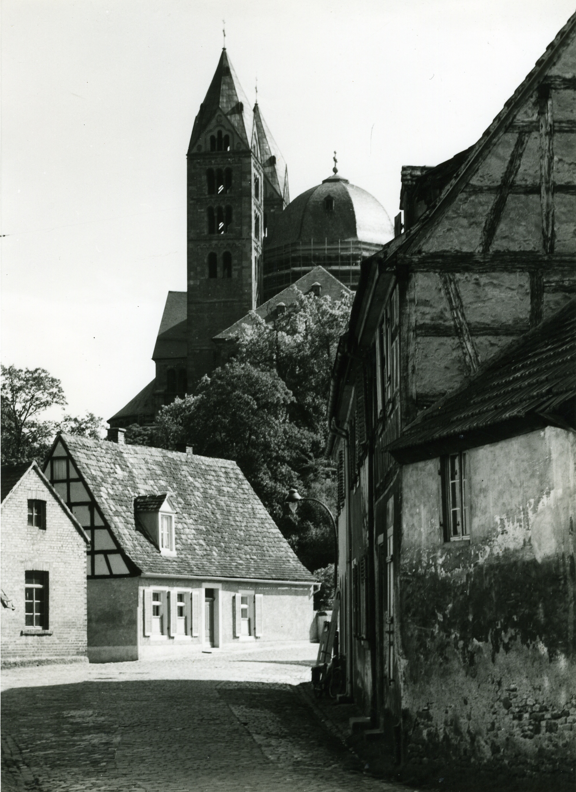 Fotografie "Kaiserdom Speyer (Ansicht Querhaus IX) (Historisches Museum der Pfalz, Speyer CC BY-NC)
