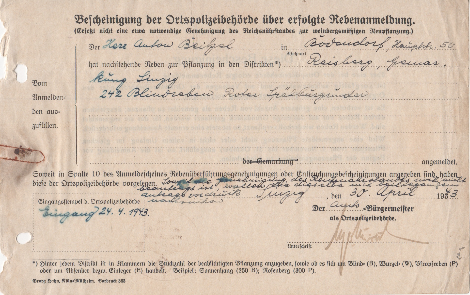Bescheinigung der Ortspolizeibehörde über erfolgte Rebenanmeldung (Heimatmuseum und -Archiv Bad Bodendorf CC BY-NC-SA)