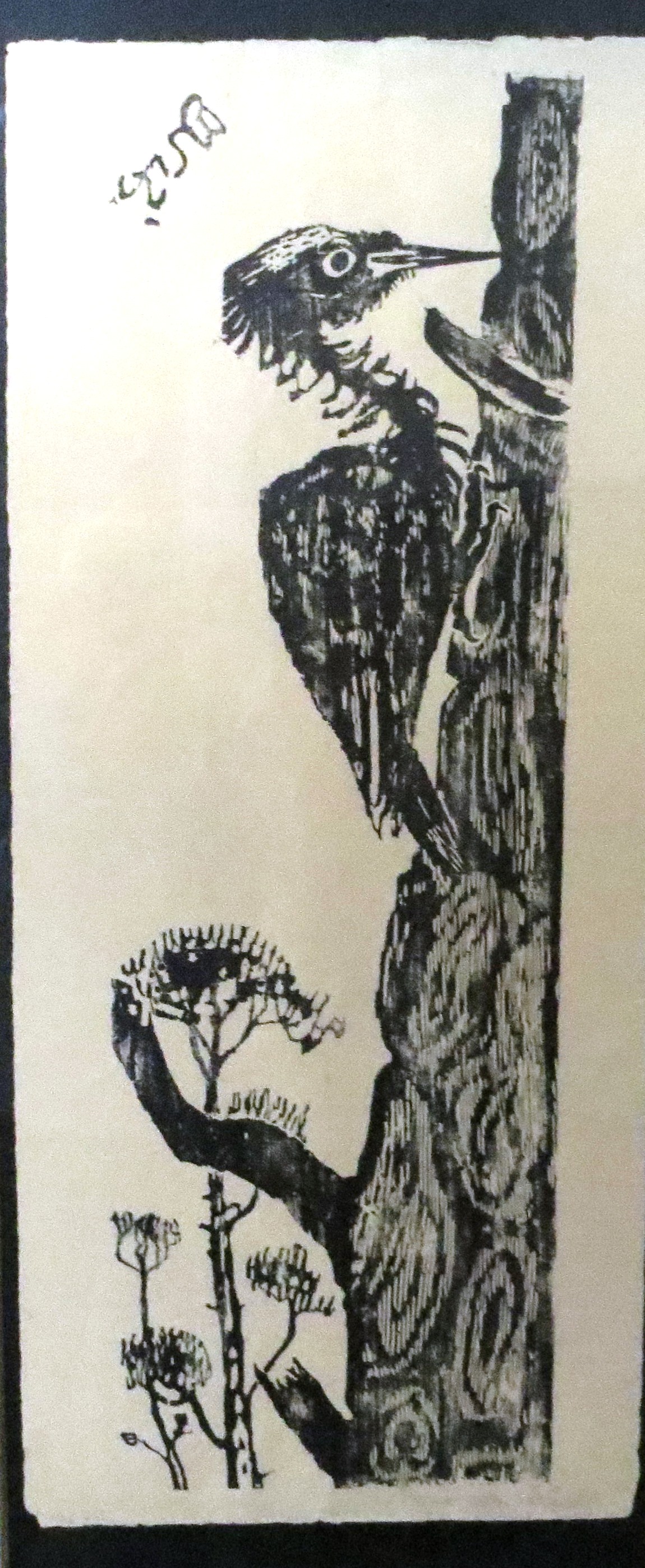 Hozschnitt, Darstellung eines Schwarzspechts auf Holz (Museum der Stadt Bad Bergzabern CC BY-NC-SA)