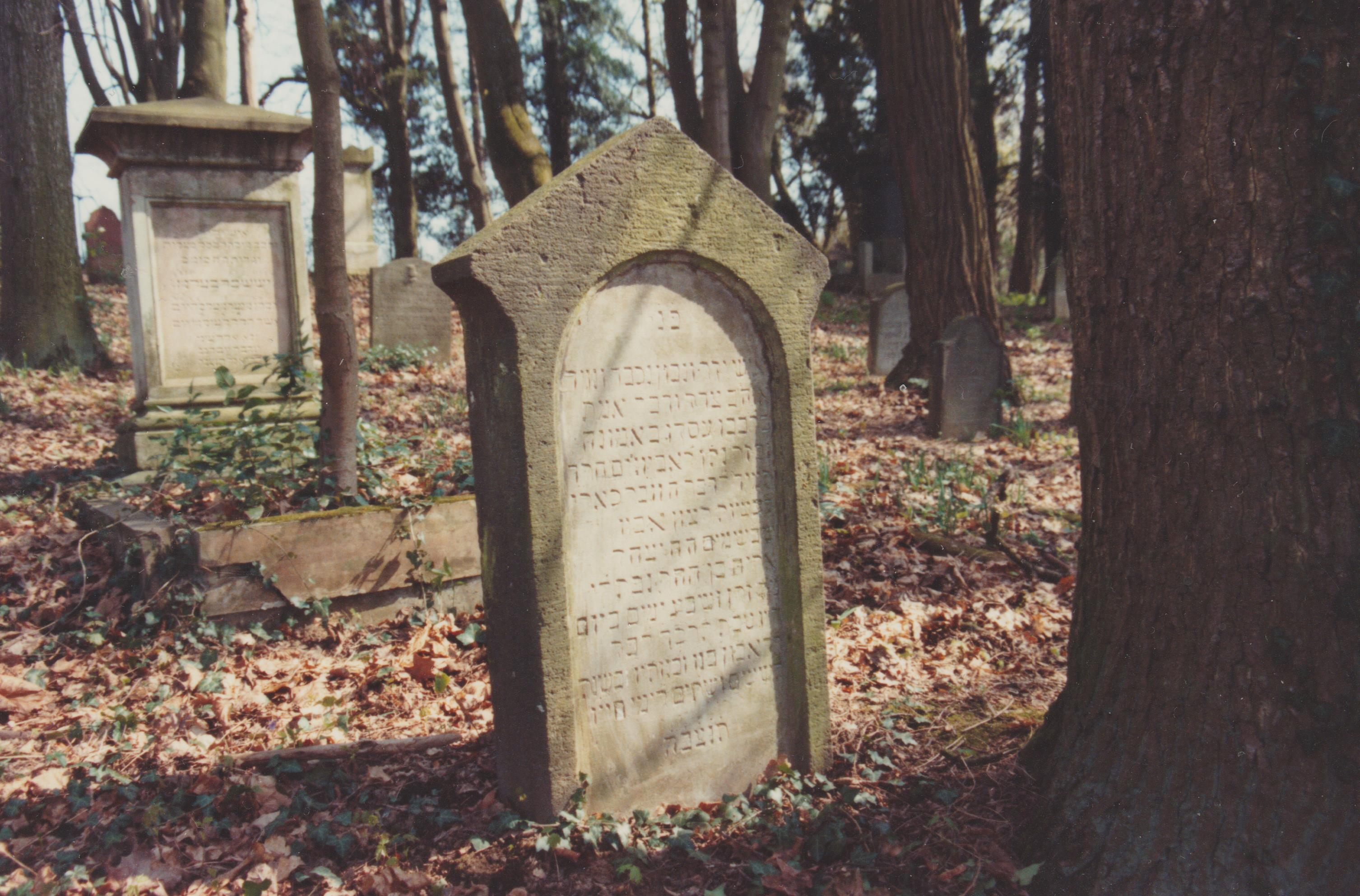 Grabsteine auf dem jüdischen Friedhof in Bendorf (REM CC BY-NC-SA)