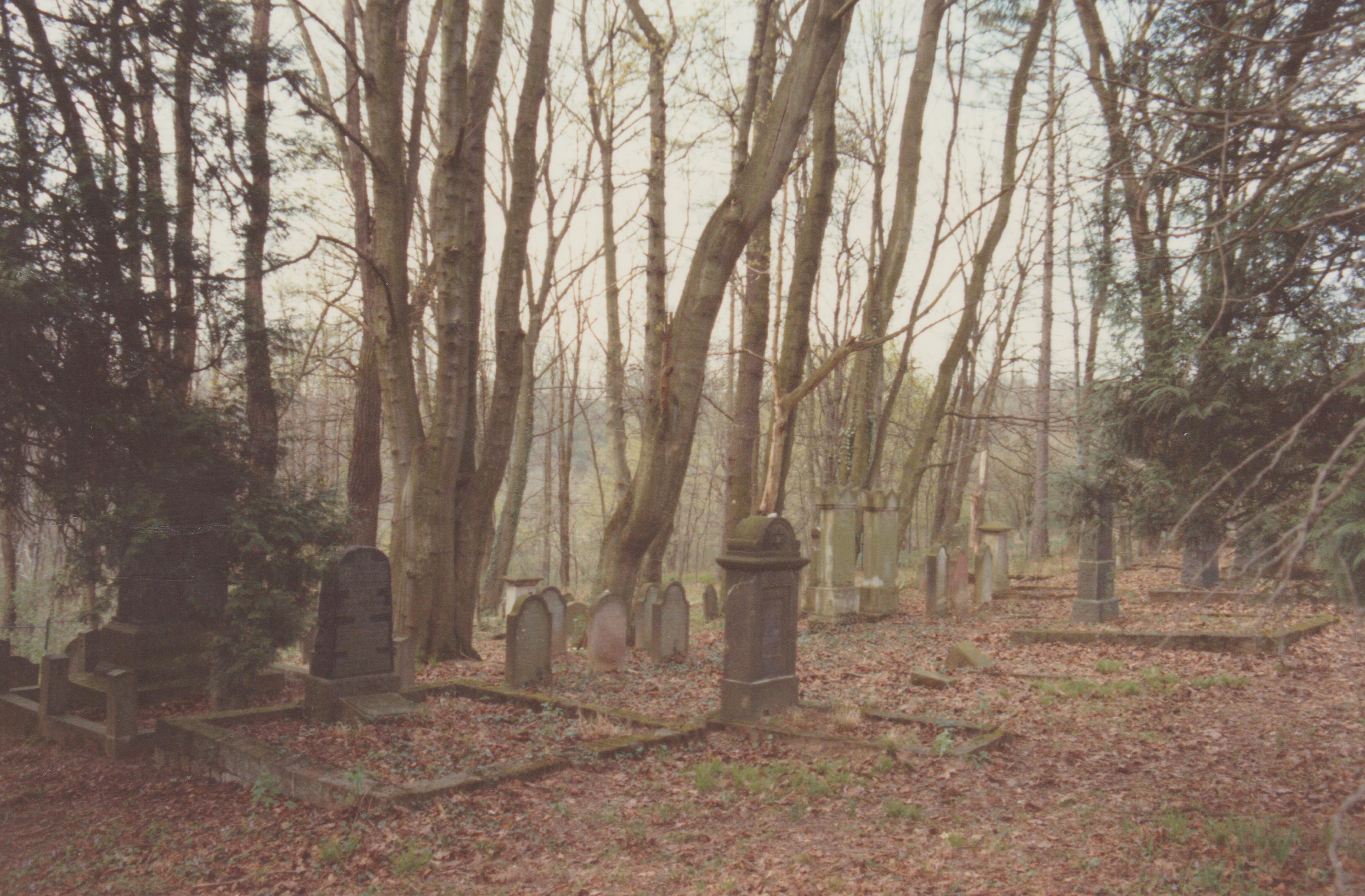Jüdischer Friedhof in Bendorf (REM CC BY-NC-SA)