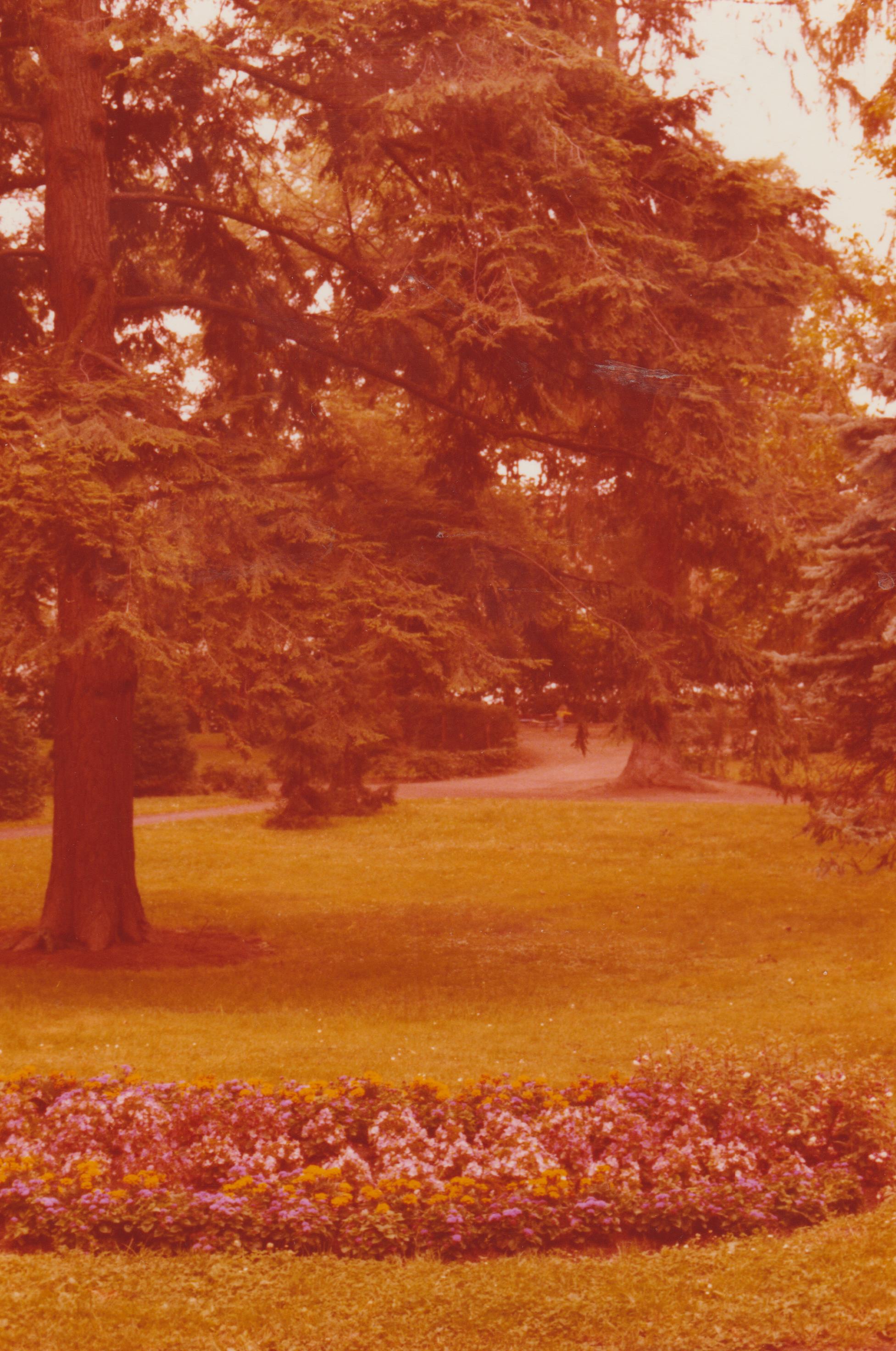 Stadtpark, Bendorf am Rhein 1977 (REM CC BY-NC-SA)