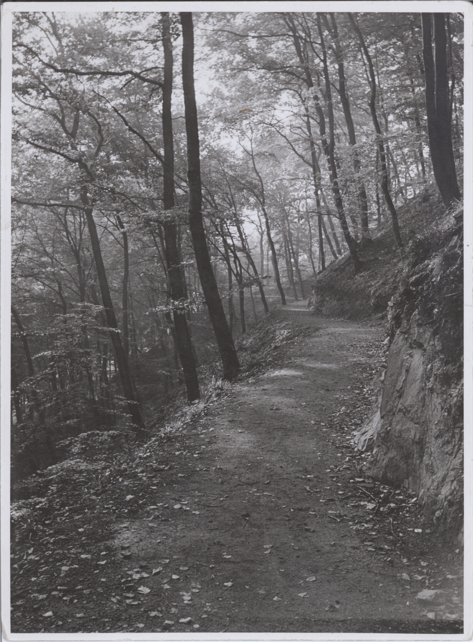"Im Großbachtal" Bendorf, 1930er Jahre (REM CC BY-NC-SA)