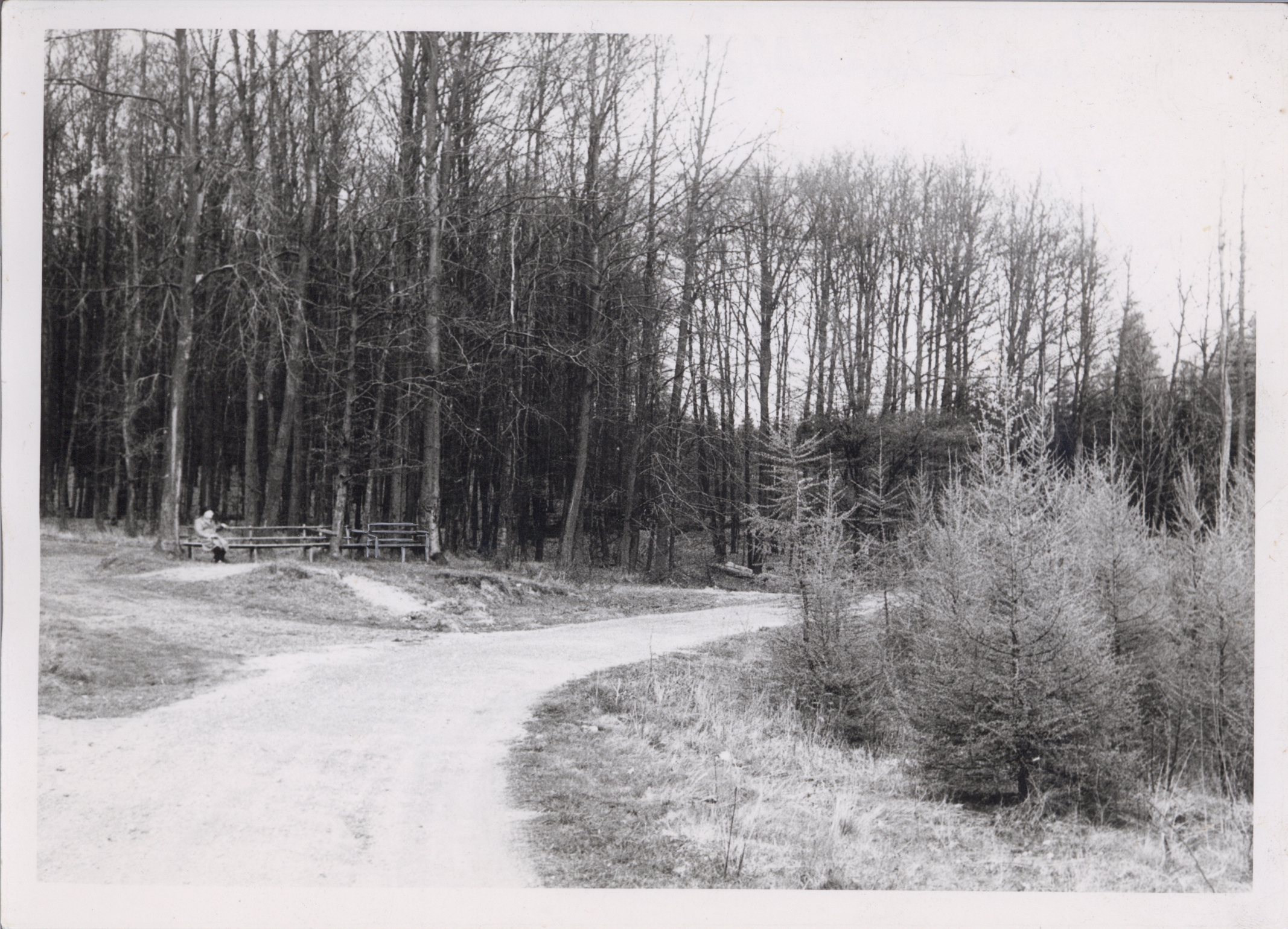 Bendorfer Stadtwald 1950er Jahre (REM CC BY-NC-SA)