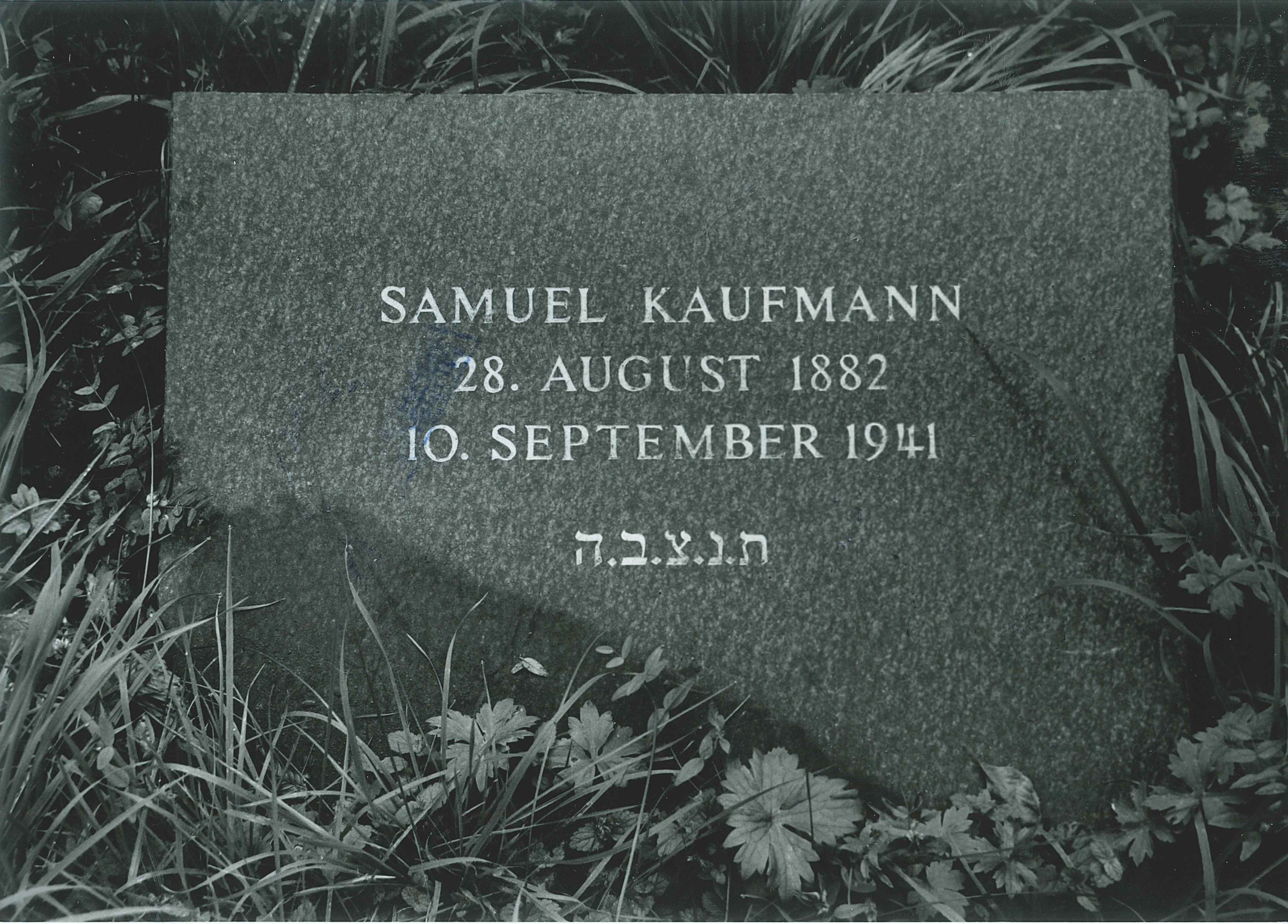 Grabstein "Samuel Kaufmann", jüdischer Friedhof Sayn (REM CC BY-NC-SA)