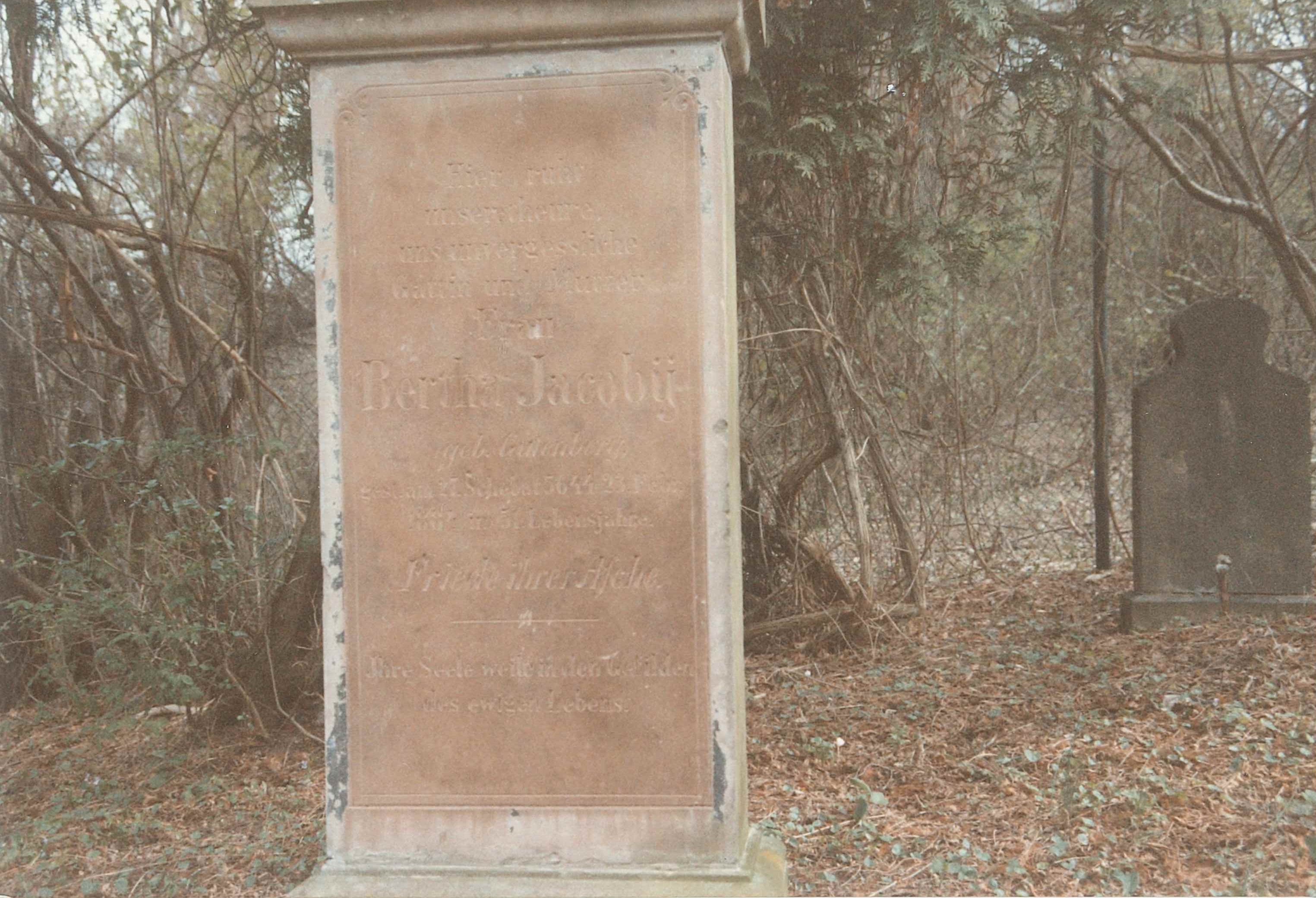 Detailaufnahme Grabstein "Meyer Jacoby", jüdischer Friedhof Sayn (REM CC BY-NC-SA)