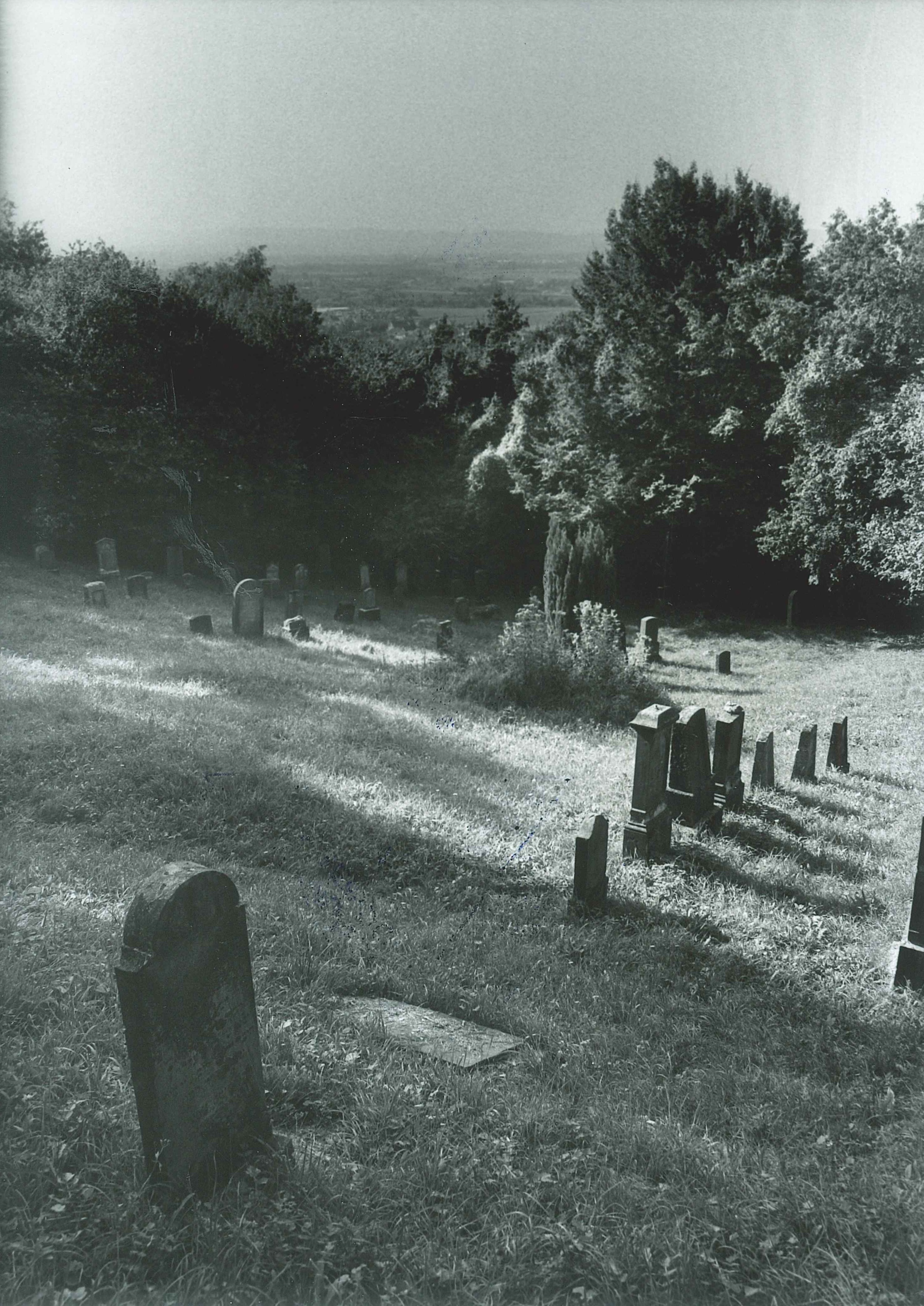 Jüdischer Friedhof in Sayn, Gesamtansicht (REM CC BY-NC-SA)
