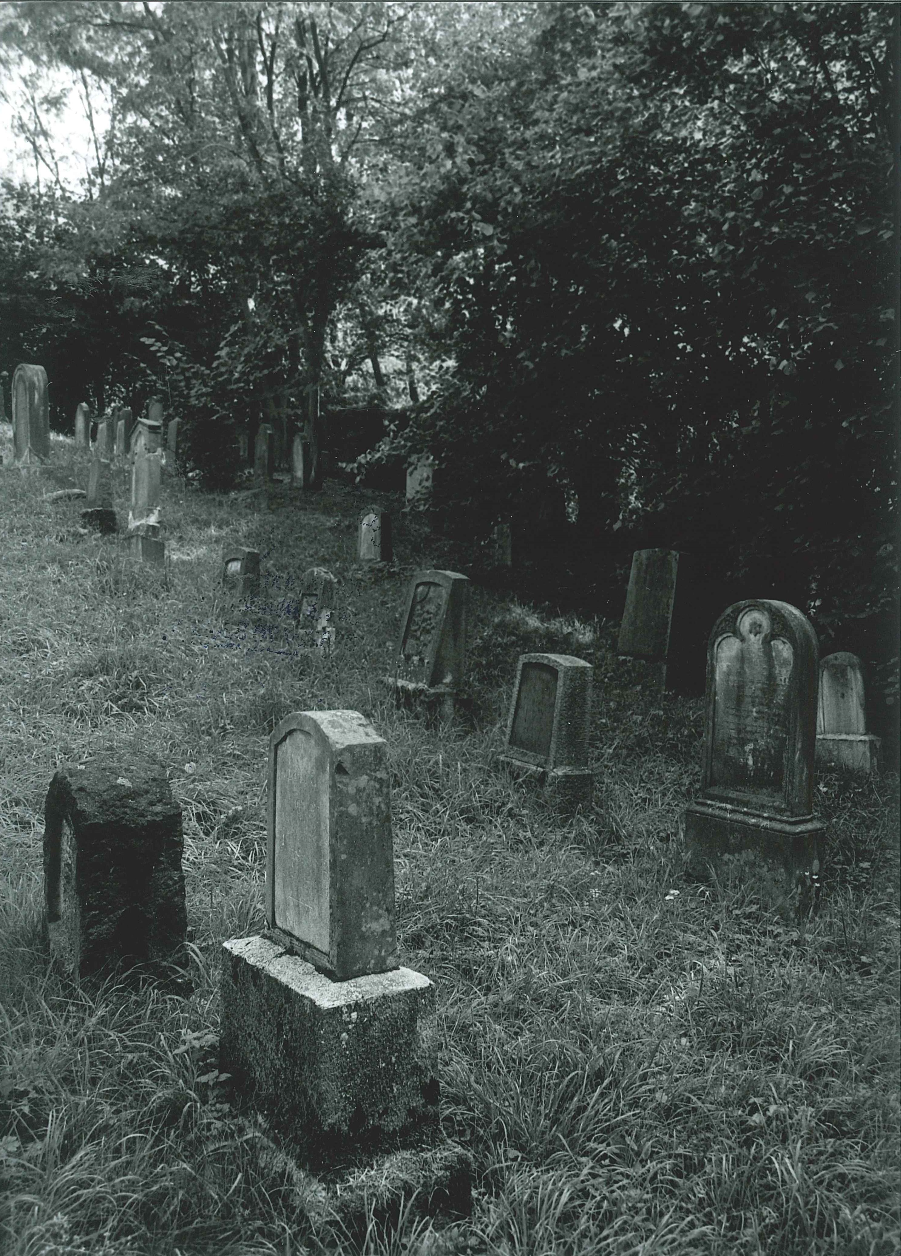 Jüdischer Friedhof in Sayn, Gesamtansicht (REM CC BY-NC-SA)