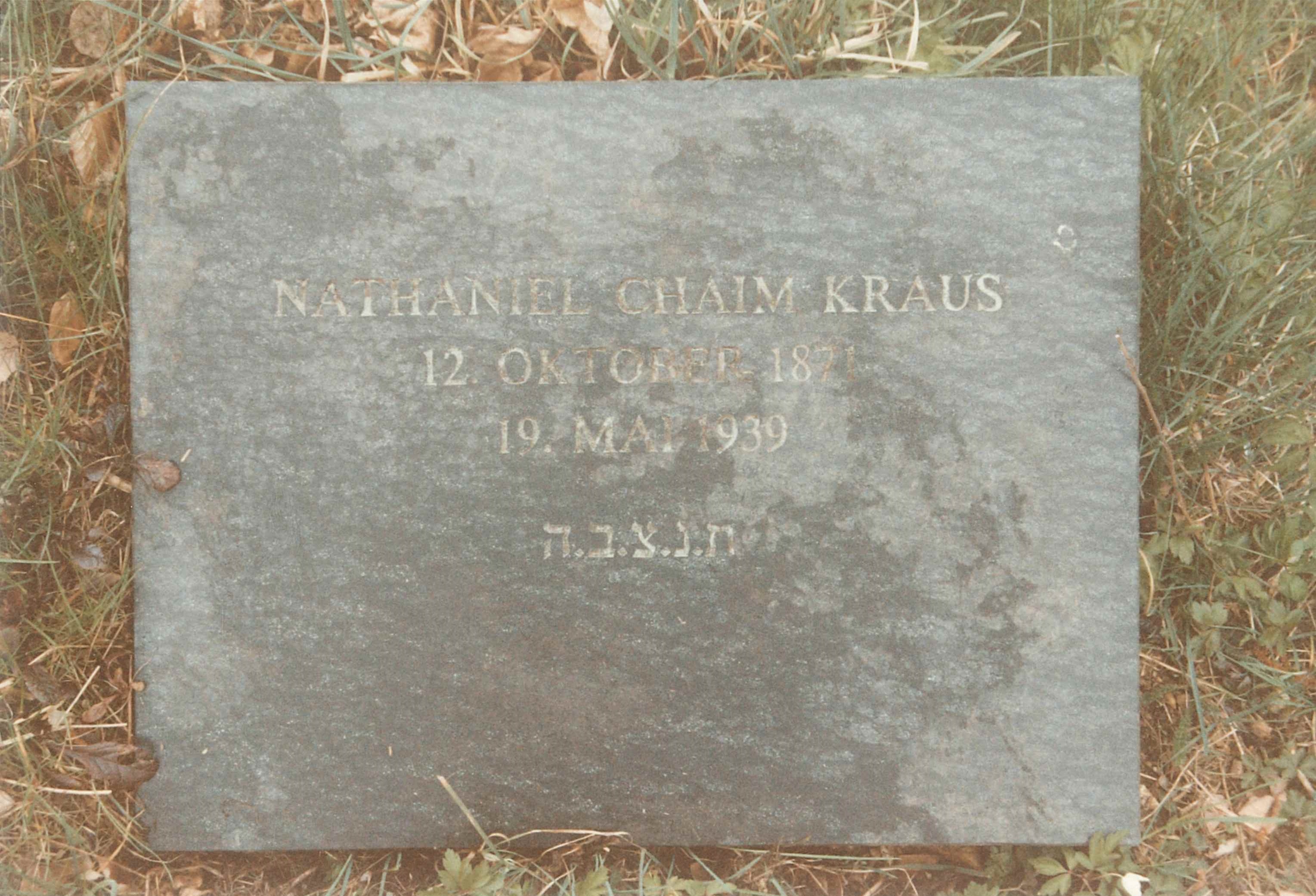 Grabstein "Nathaniel Chaim Kraus", jüdischer Friedhof Sayn (REM CC BY-NC-SA)