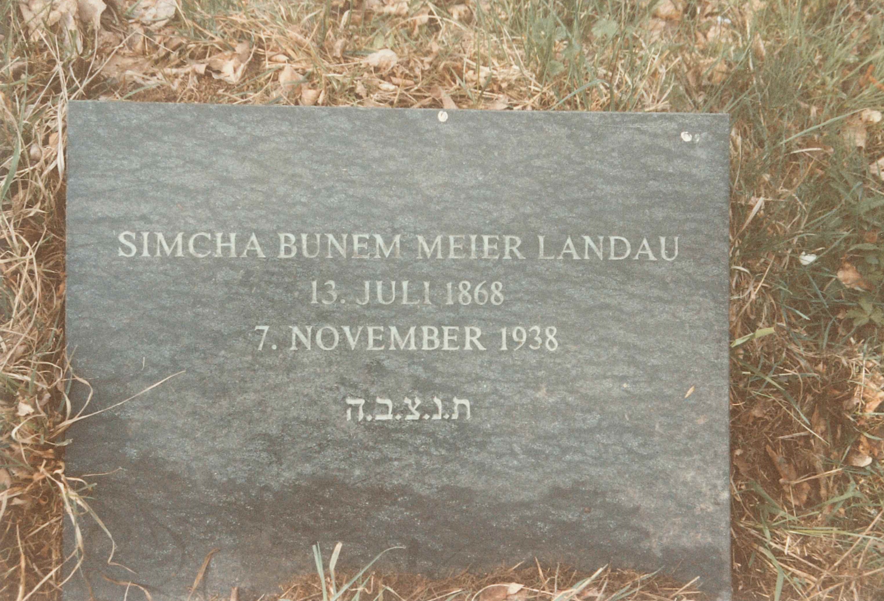 Grabstein "Simcha Bunem Meier Landau", jüdischer Friedhof Sayn (REM CC BY-NC-SA)