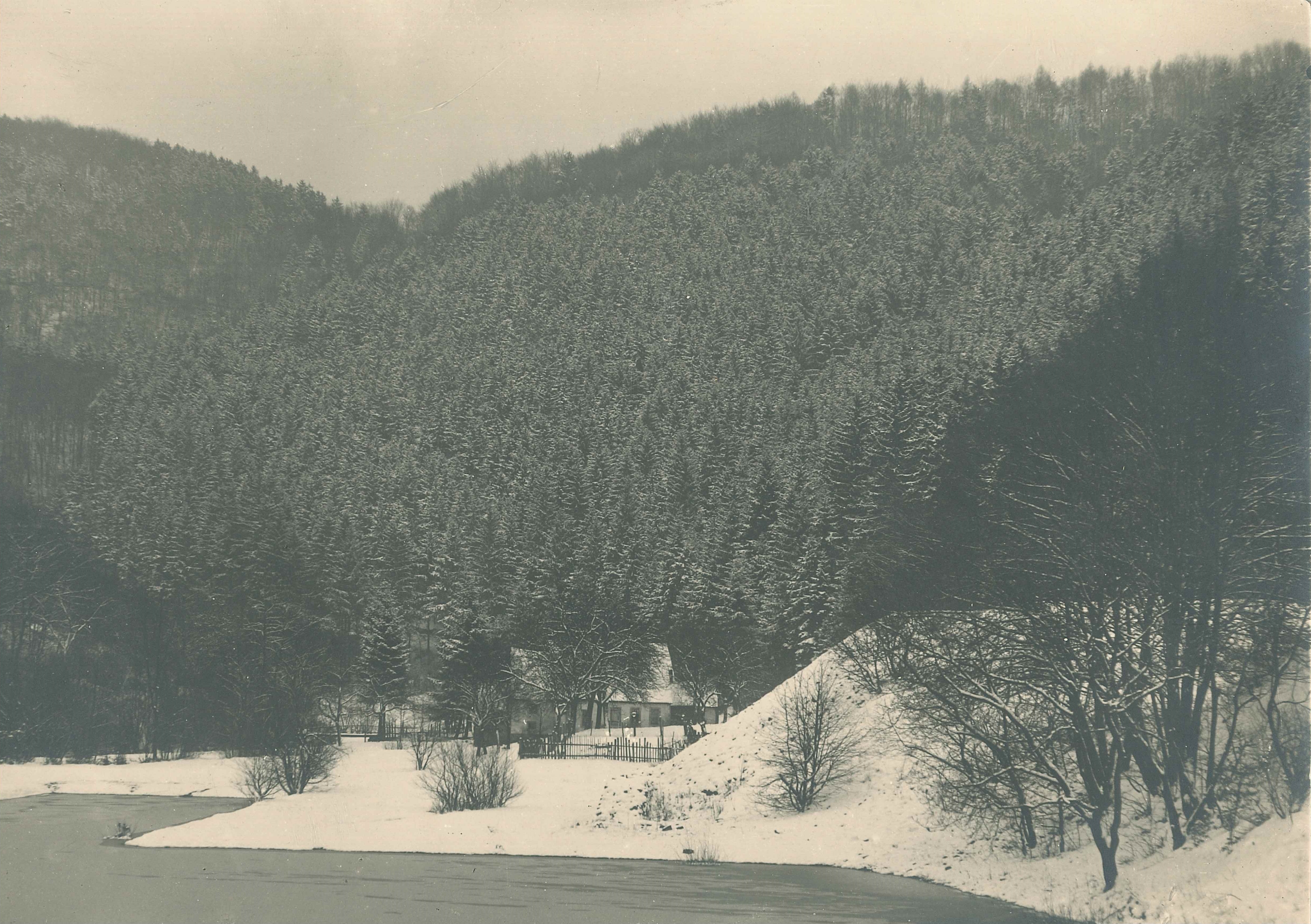Blick in das Brexbachtal, Bendorf-Sayn, 1930er Jahre (REM CC BY-NC-SA)