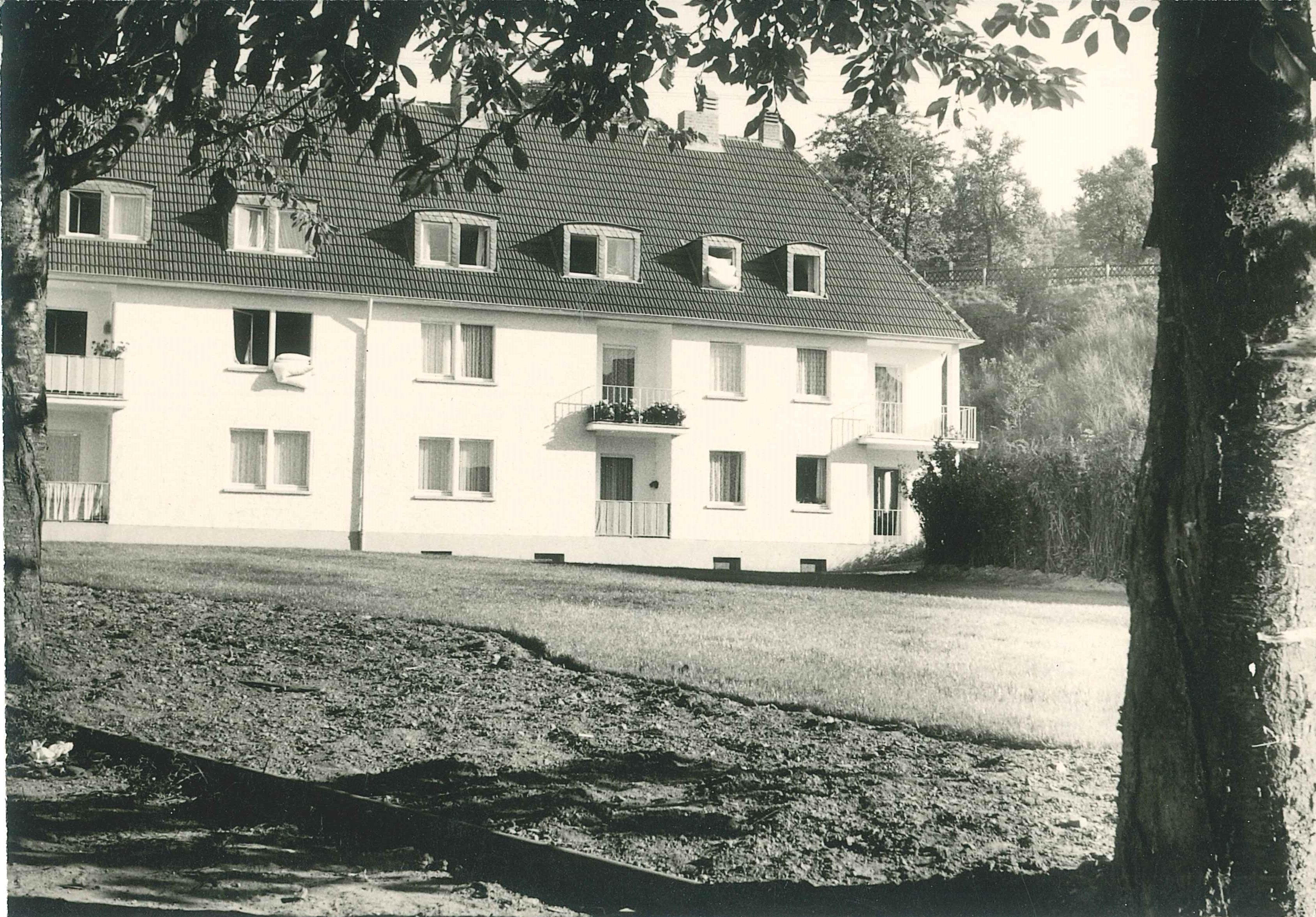 Gräflicher Weingarten, Bendorf-Sayn, 1962 (REM CC BY-NC-SA)
