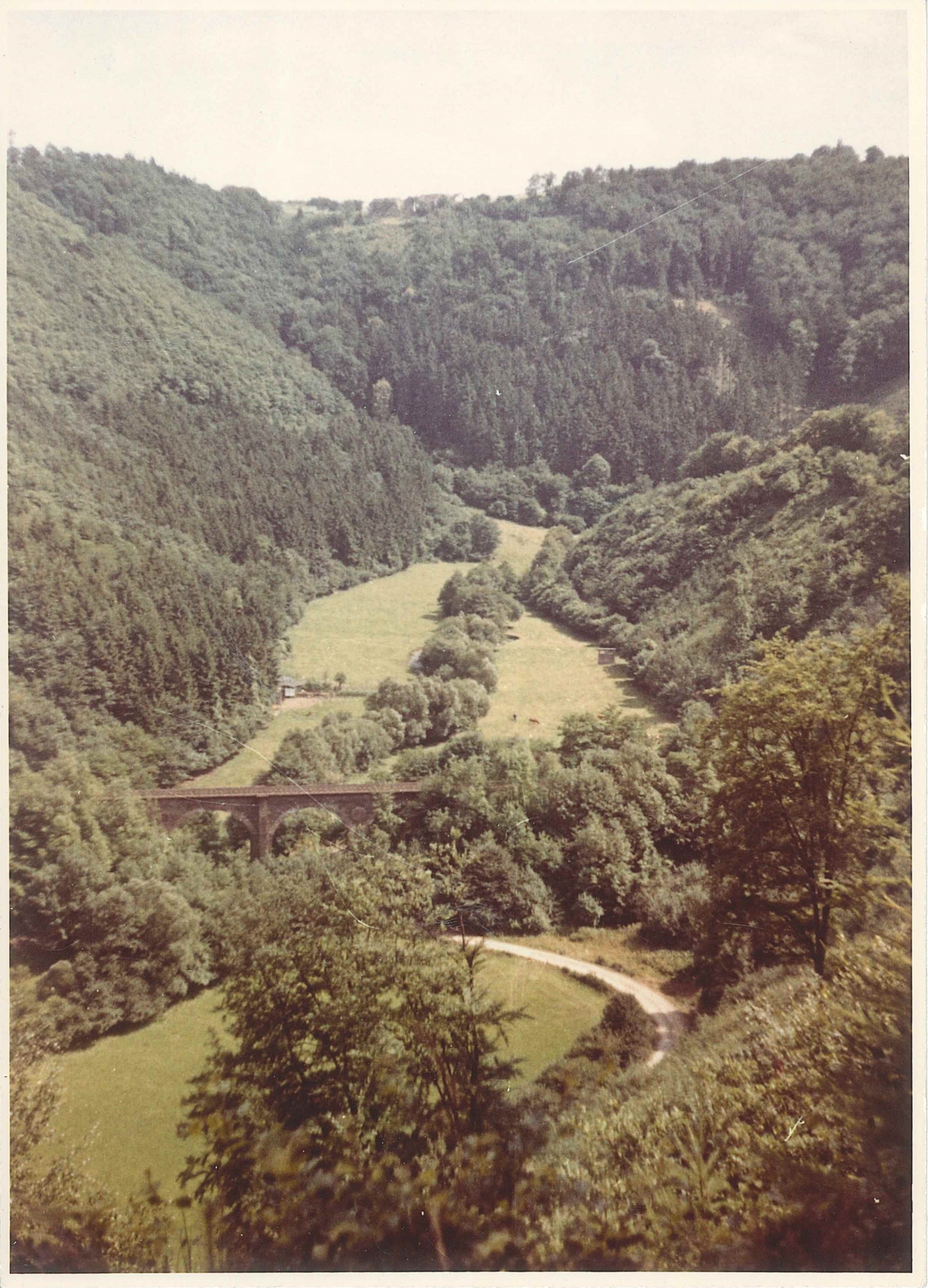 Blick in das Brexbachtal, Bendorf-Sayn, 1962 (REM CC BY-NC-SA)