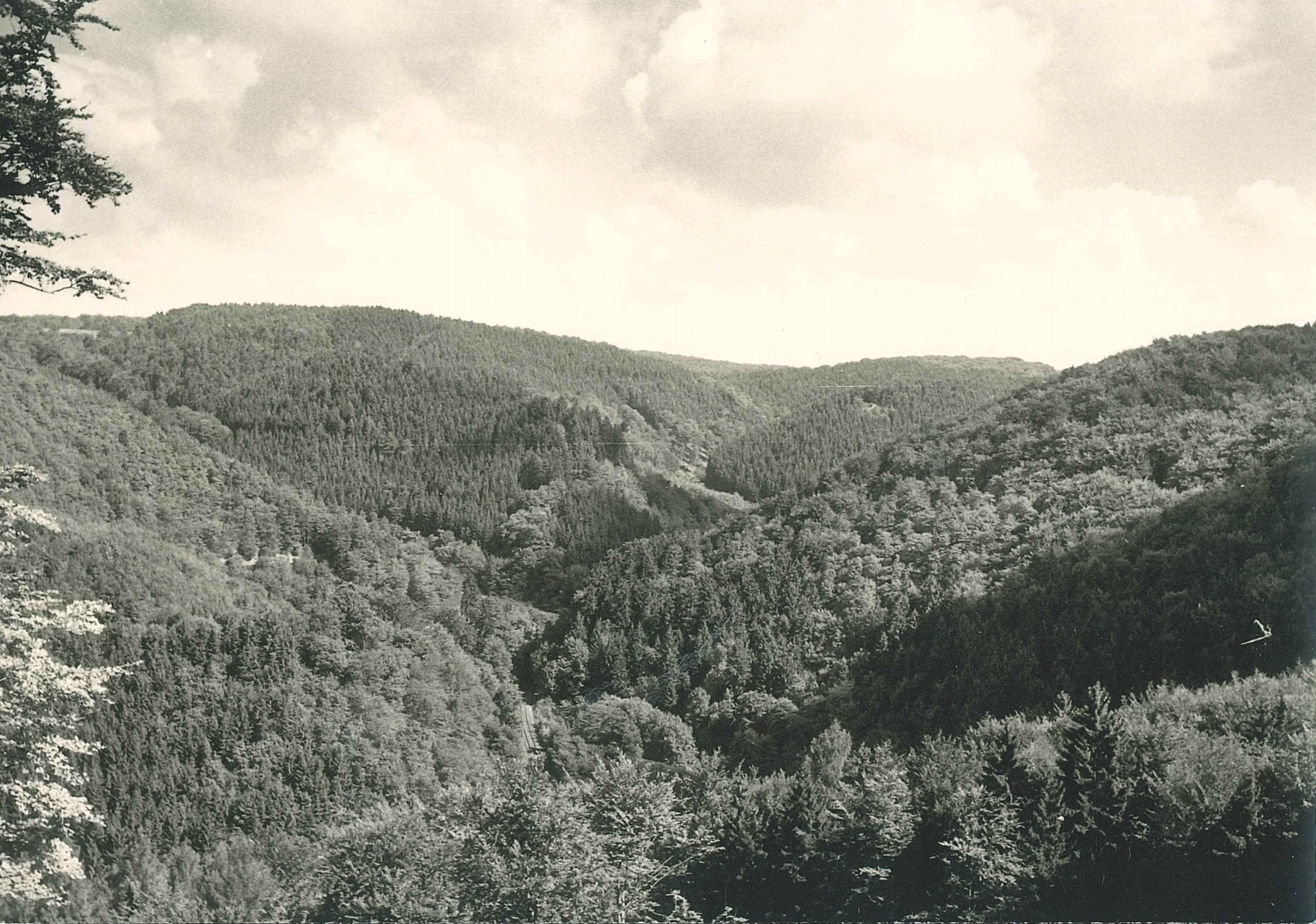 Blick in das Brexbachtal, Bendorf-Sayn, 1962 (REM CC BY-NC-SA)