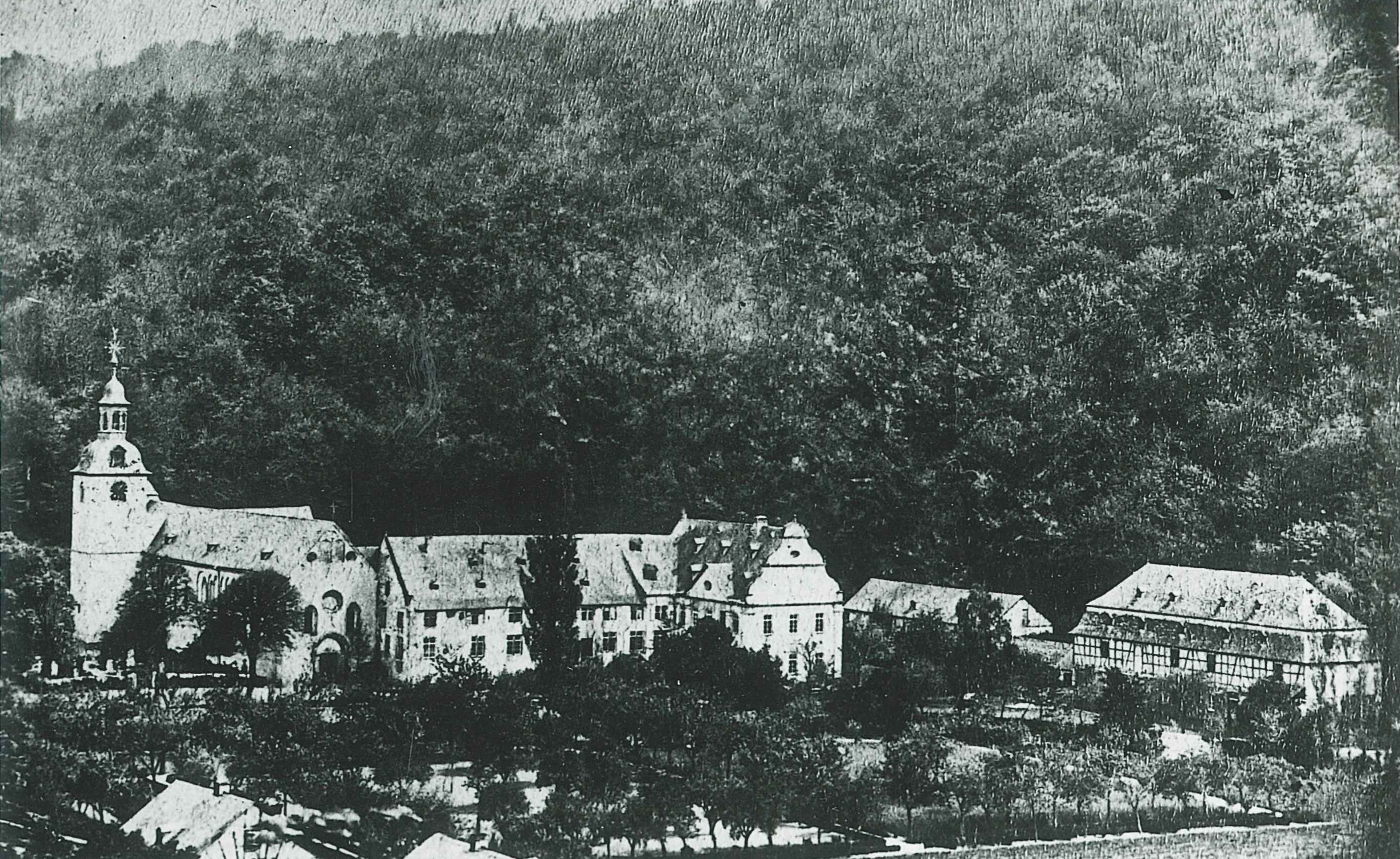Blick auf die Abtei Sayn, 1880 (REM CC BY-NC-SA)