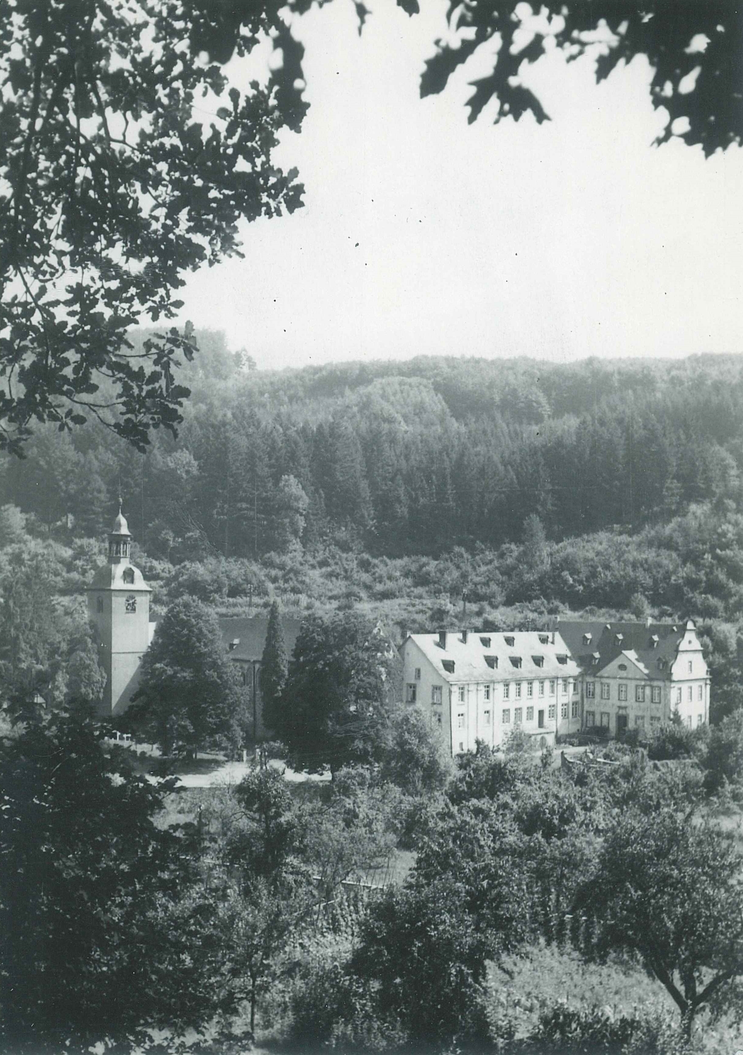 Blick auf die Abtei Sayn, 1950er Jahre (REM CC BY-NC-SA)