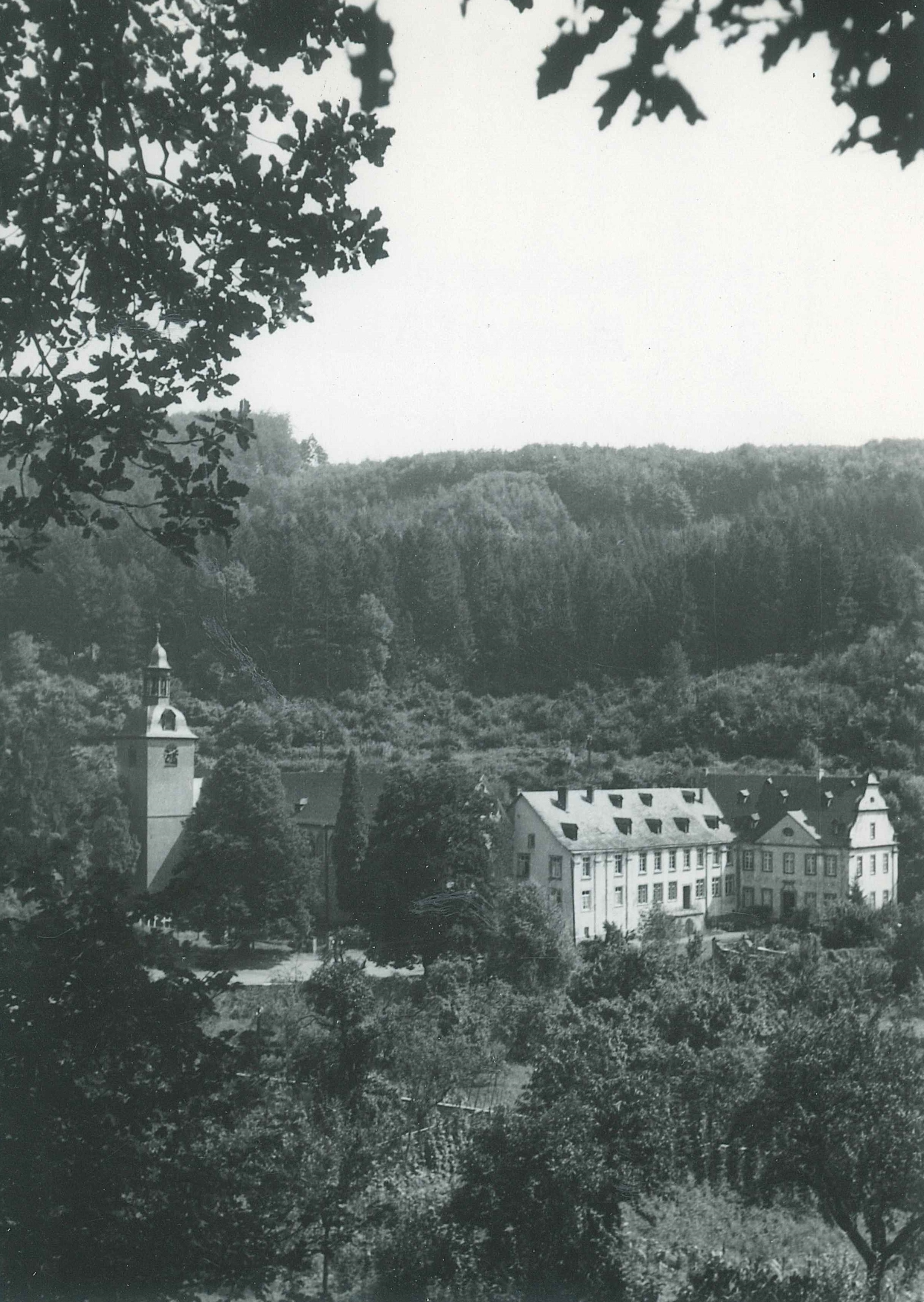 Blick auf die Abtei Sayn, Gesamtansicht 1950er Jahre (REM CC BY-NC-SA)