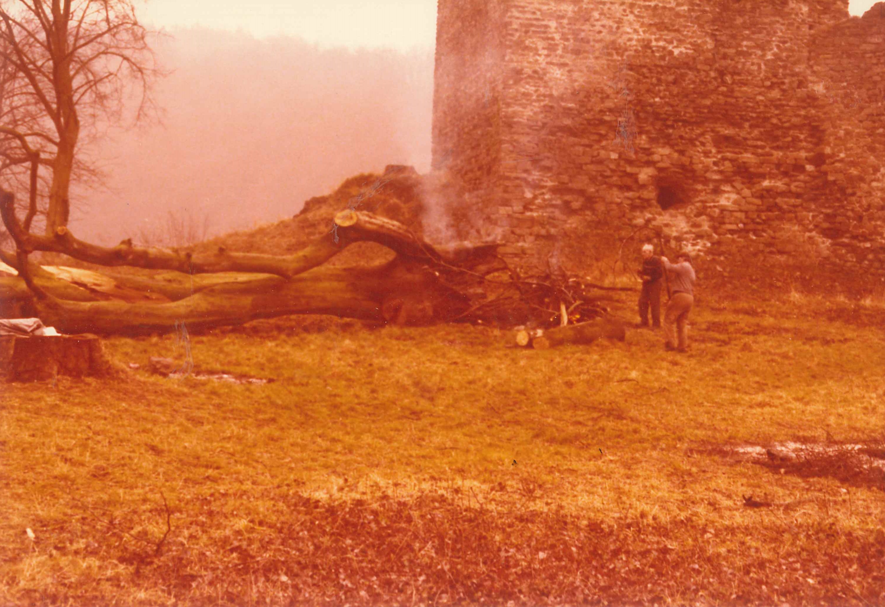 Burg Sayn, Säuberung des Burgbergs, 1980 (REM CC BY-NC-SA)