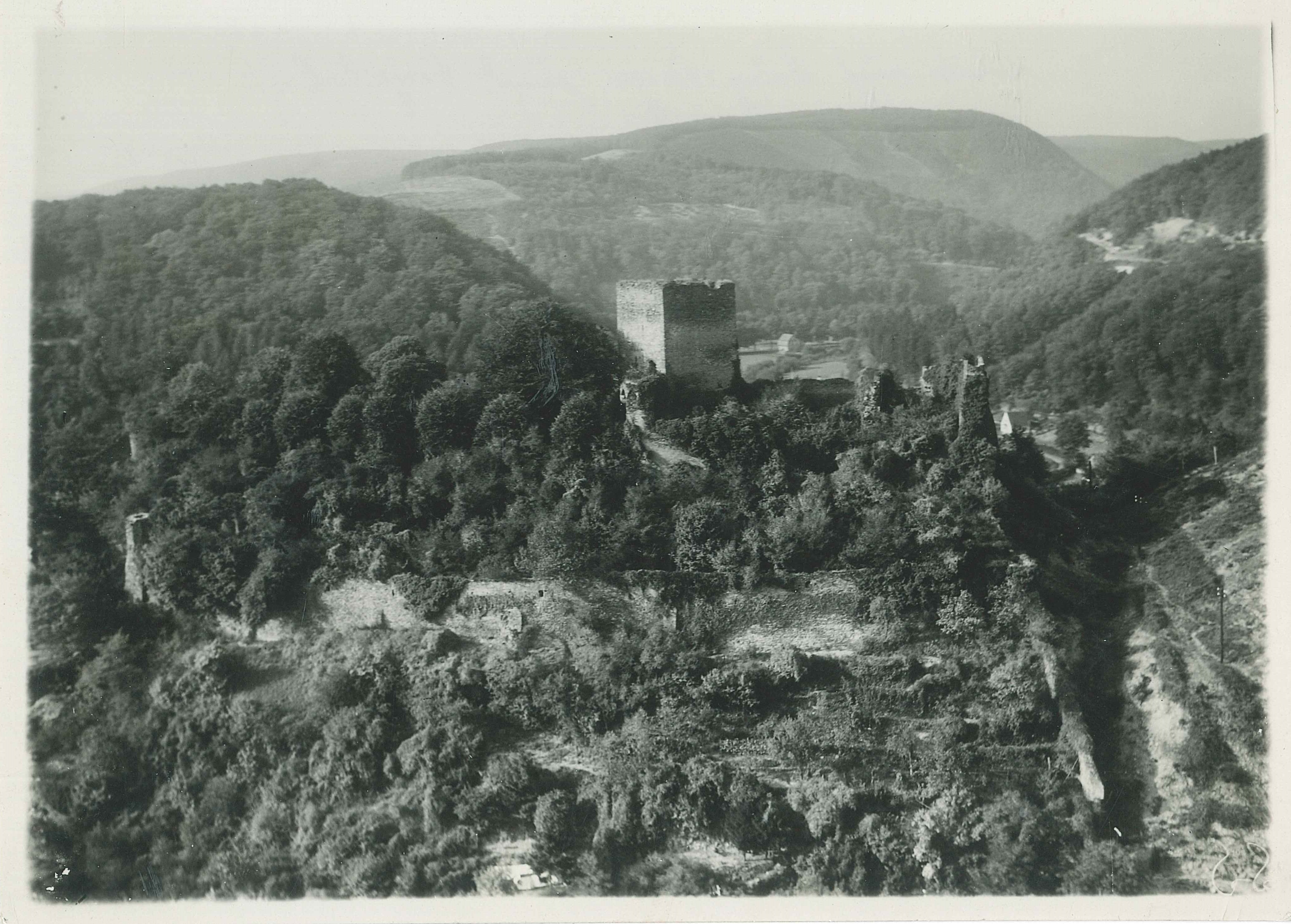 Blick auf die Burg Sayn (REM CC BY-NC-SA)