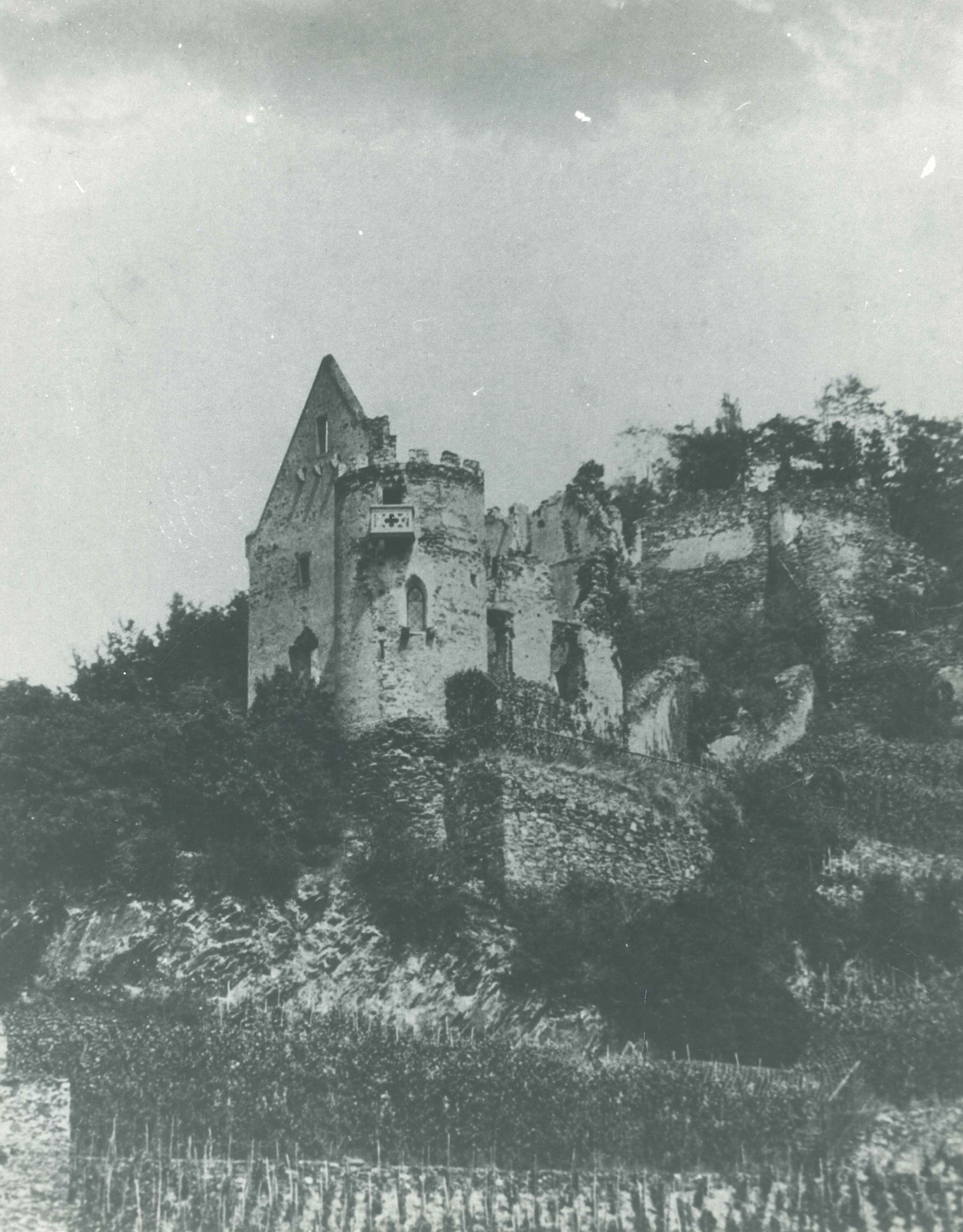 Blick auf die Burgruine in Sayn (REM CC BY-NC-SA)