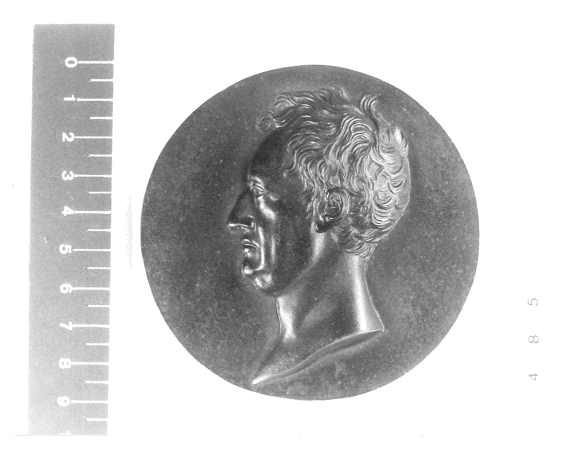 Bildnismedaillon "J. W. v. Goethe" (Rheinisches Eisenkunstguss-Museum CC BY-NC-SA)